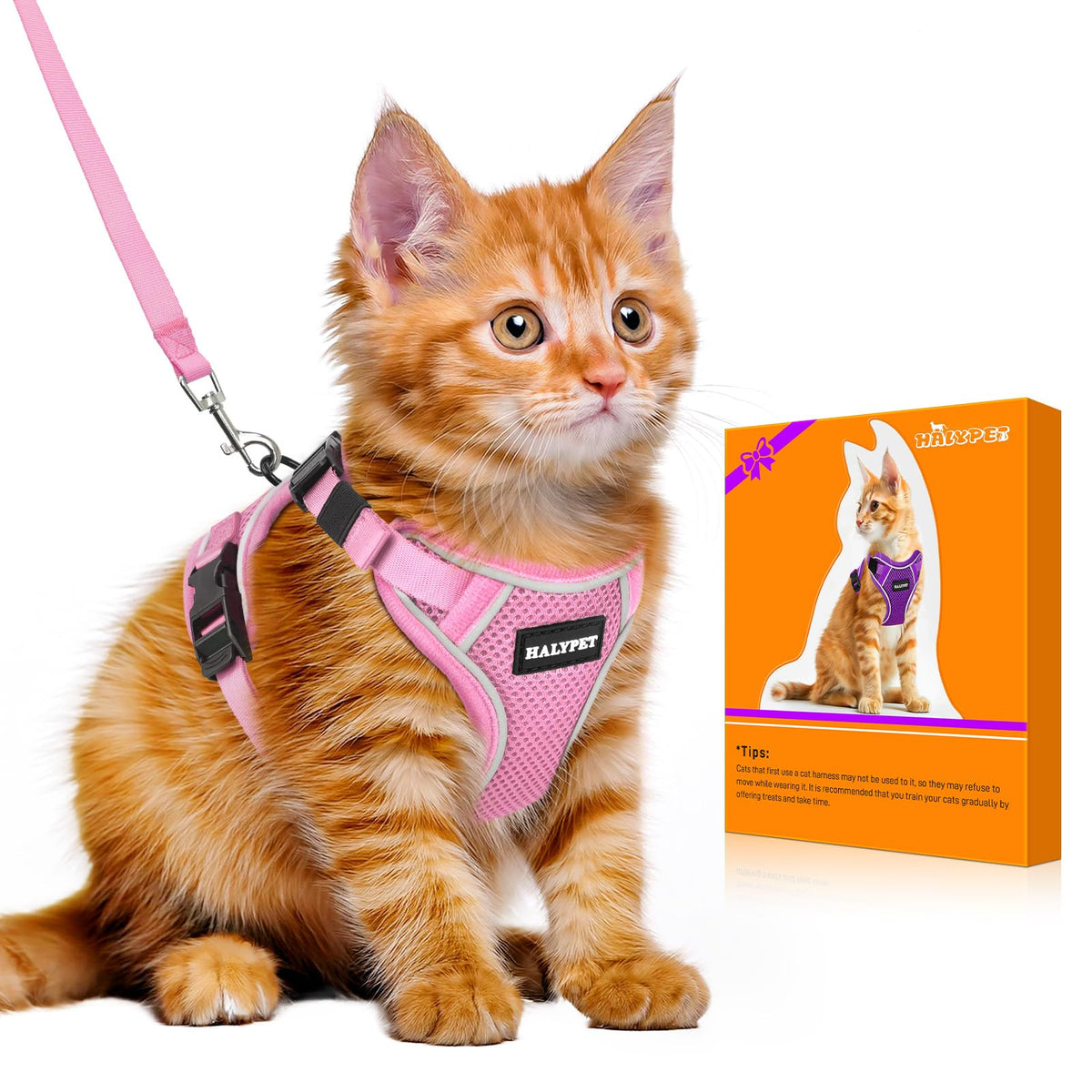 Cat Harness and Leash Set,Escape Proof Kitten Harness,Orange