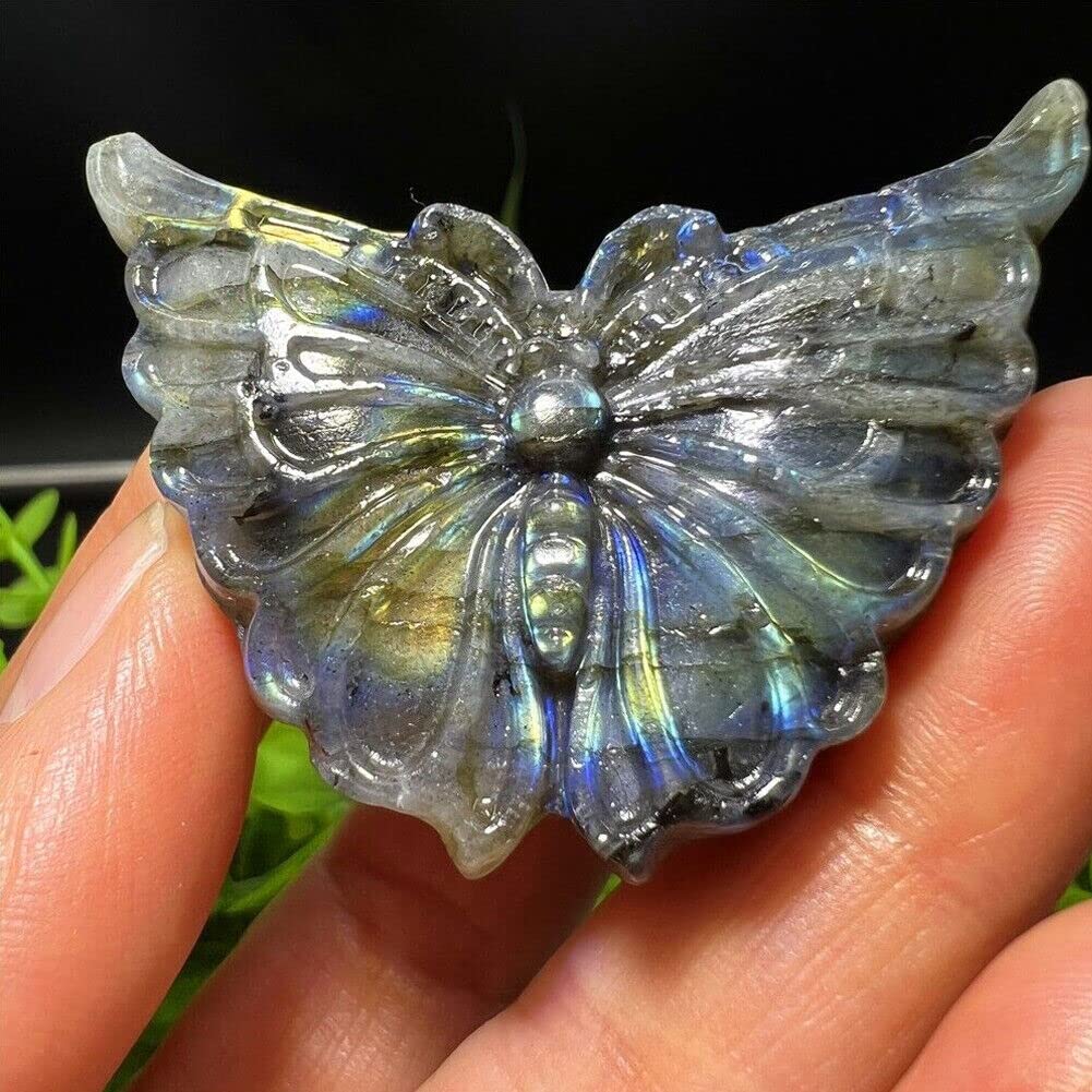 TEAMWILL 2" Natural Labradorite Carved Butterfly Skull Quartz Crystal Healing Reiki
