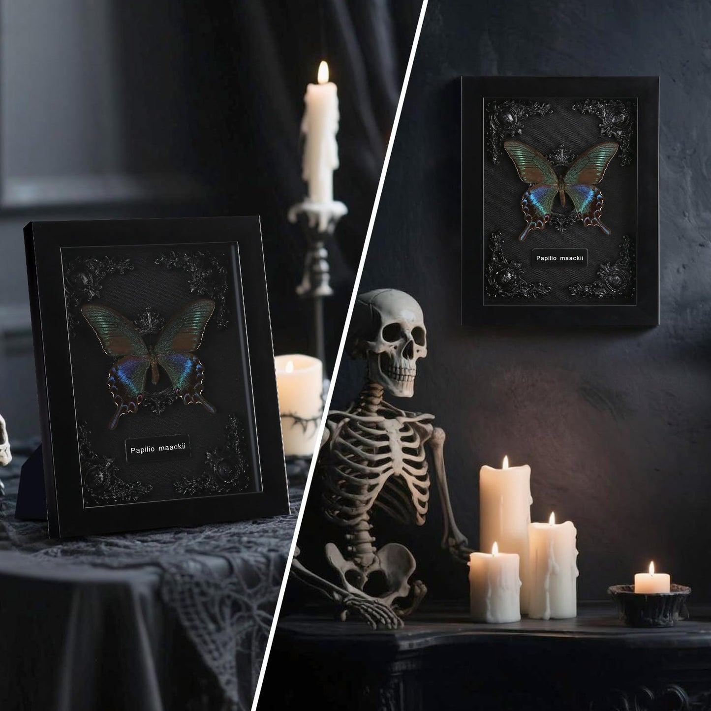 Real Framed Butterfly Taxidermy - Shadow Box, Real Framed Butterfly in a Box for Gothic Home Decor Aesthetic (B_Alpine Black Swallowtail Black Background #1)