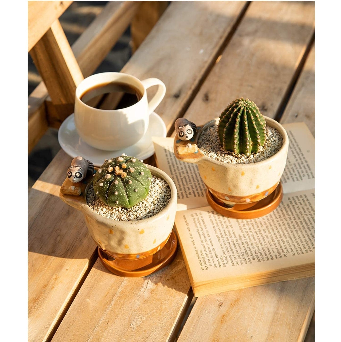 MAKOLO Ceramic Succulent Planter Small Pot with Drainage Hole and Tray for Cactus Flower Plant Container Shelf Home Office Desk Decoration (Raccoon)