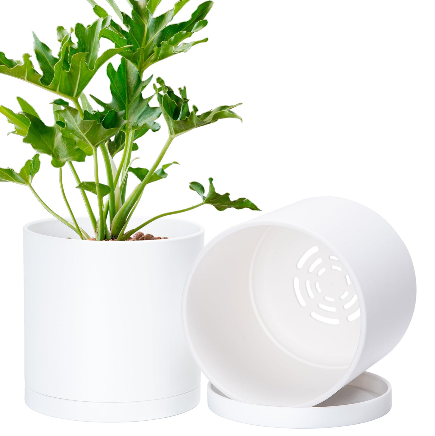 D'vine Dev 2 Pack 6 Inch Modern Plastic Plant Pots, Small Garden Planters for Plant with Drainage Holes and Saucers, White Color, 74-Z-J-1