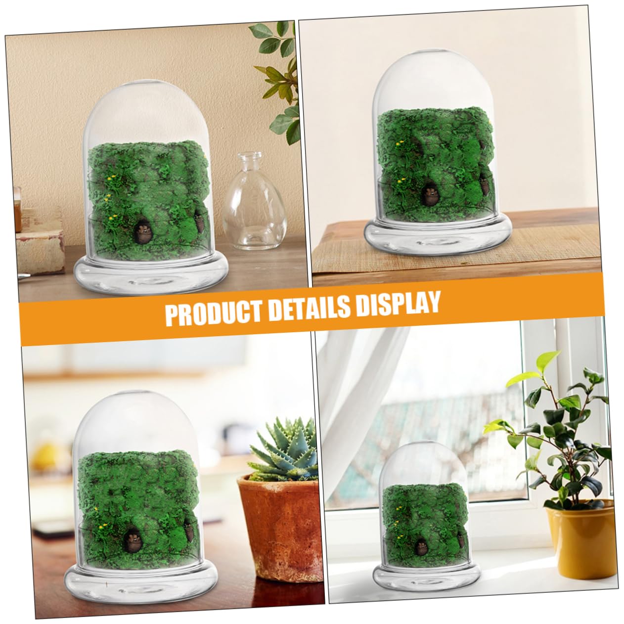 VICASKY 2pcs Glass Eco Bottle for DIY Micro Landscape Terrarium Container for Plants Decorative Desk Ornament Glass Display for Miniature Gardens