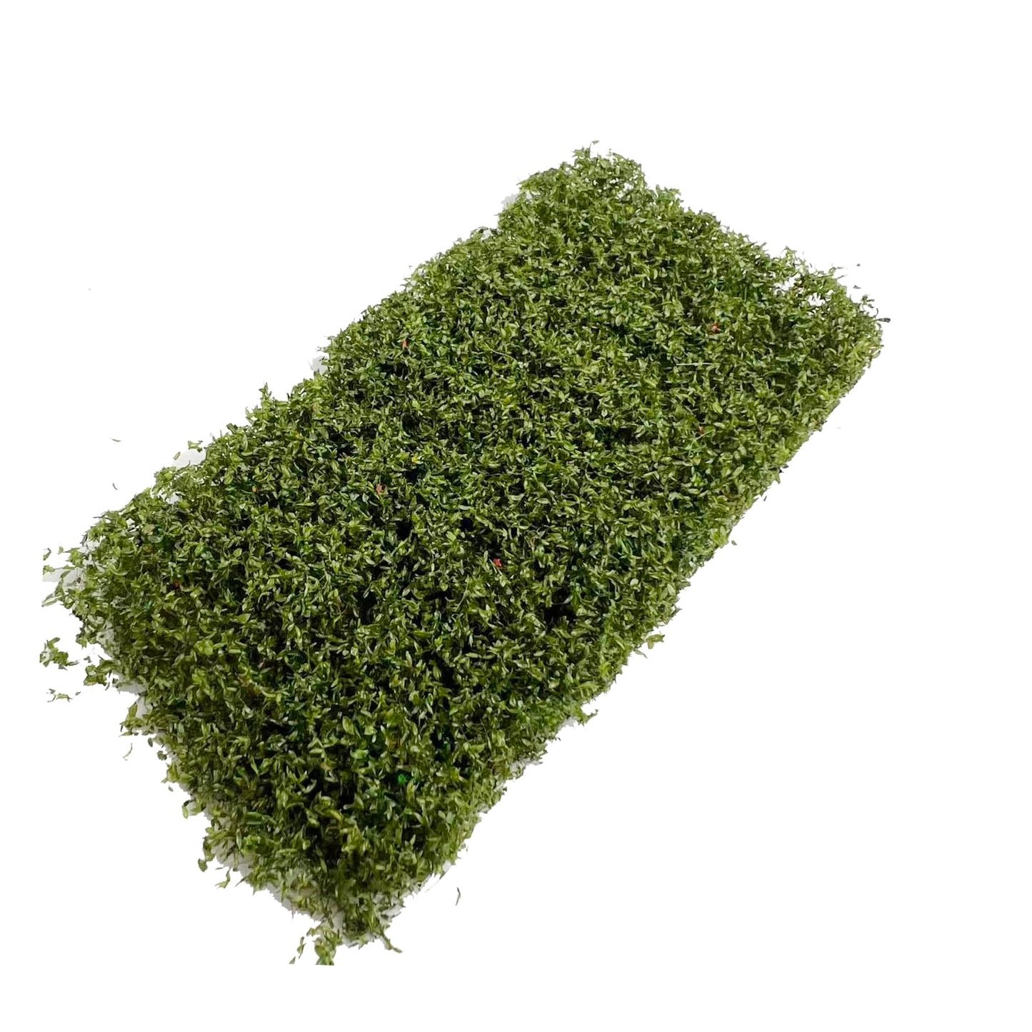 ZZZ SAN ZHI Tearable Vine Model Railway Scenery, Withered Yellow Green, 5.5x2.76x0.39 Inches, Miniature Diorama Landscape Material for Train Layout and Model Building (Spring Green)