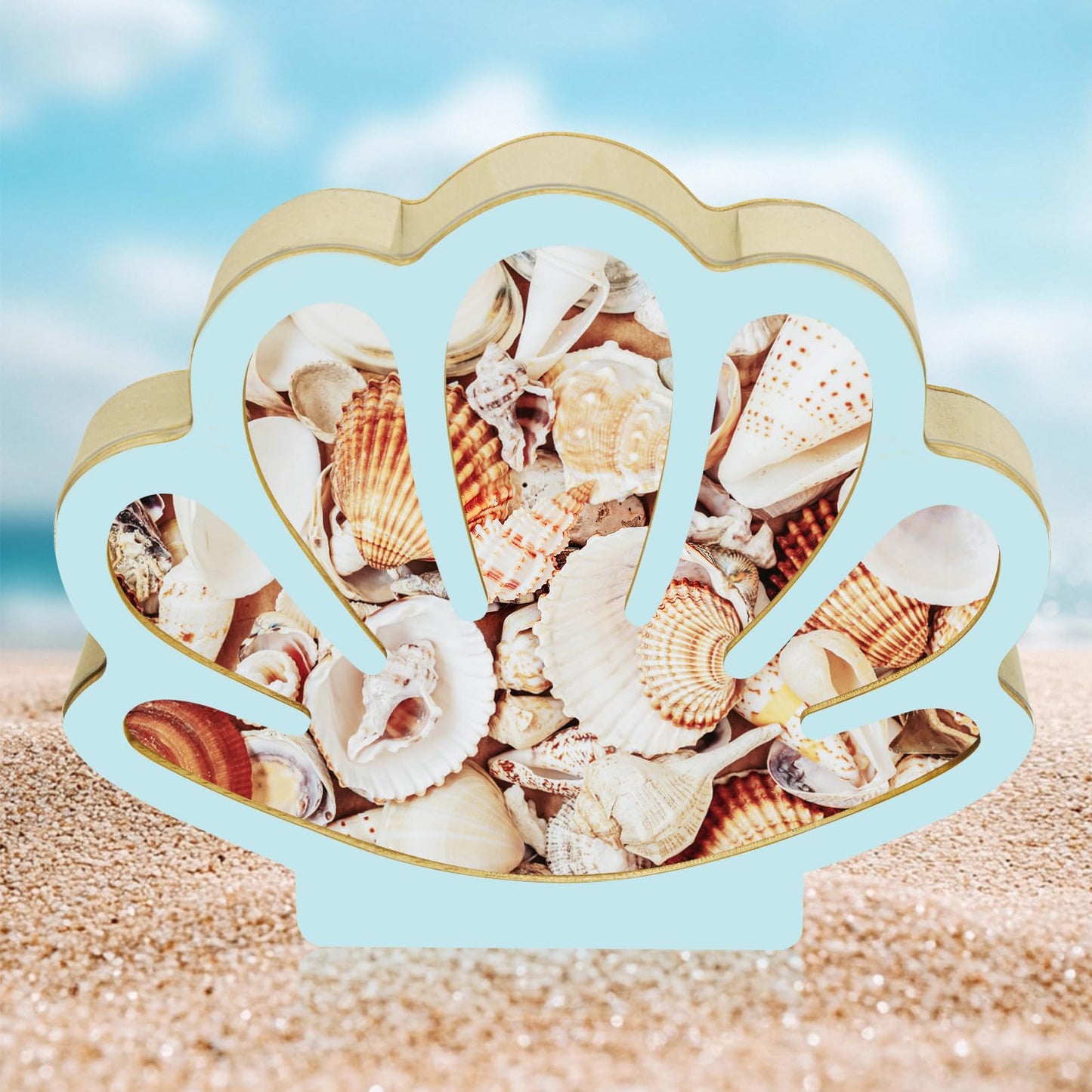 Wooden Shell Display Box Blue, Seashell Display Box Decoration Supplies, Exquisite Storage Decor Gift Supplies for Women Men Suitable for Placing in The Room