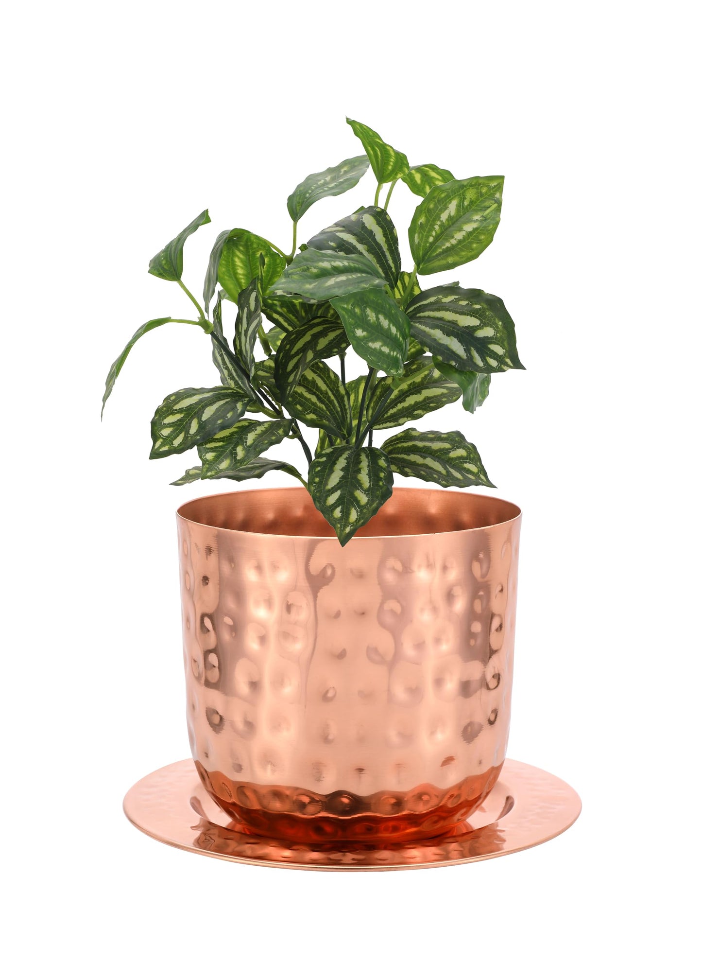 Glytterati - Indoor Watering Can and Planter with Plate.