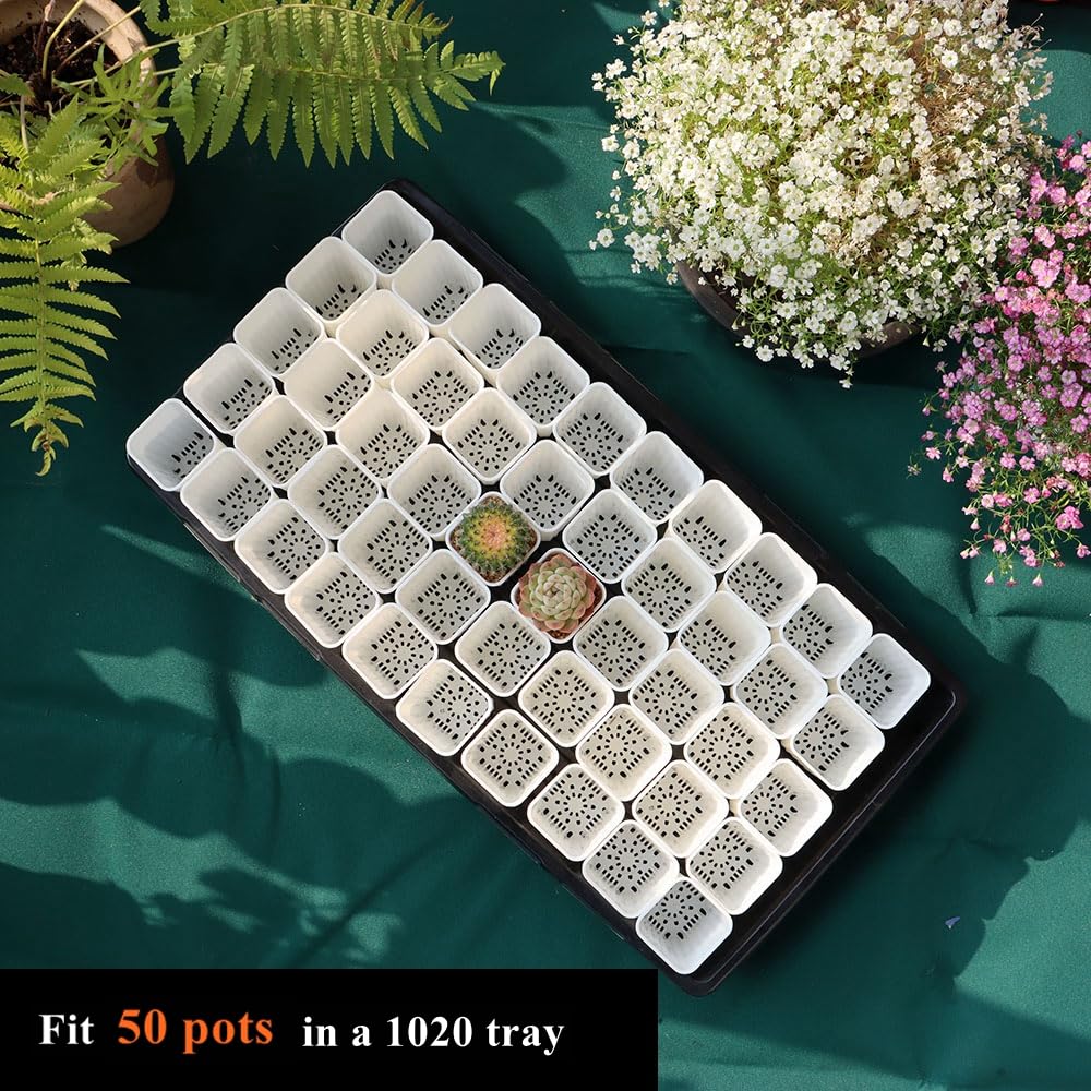 BangQiao 180 Pack 1.95 Inch Tiny White Plastic Square Nursery and Seedling Pot, Mini Deep Transplant Seed Starter Planter with Drain Hole for Germination, Herb, Succulent