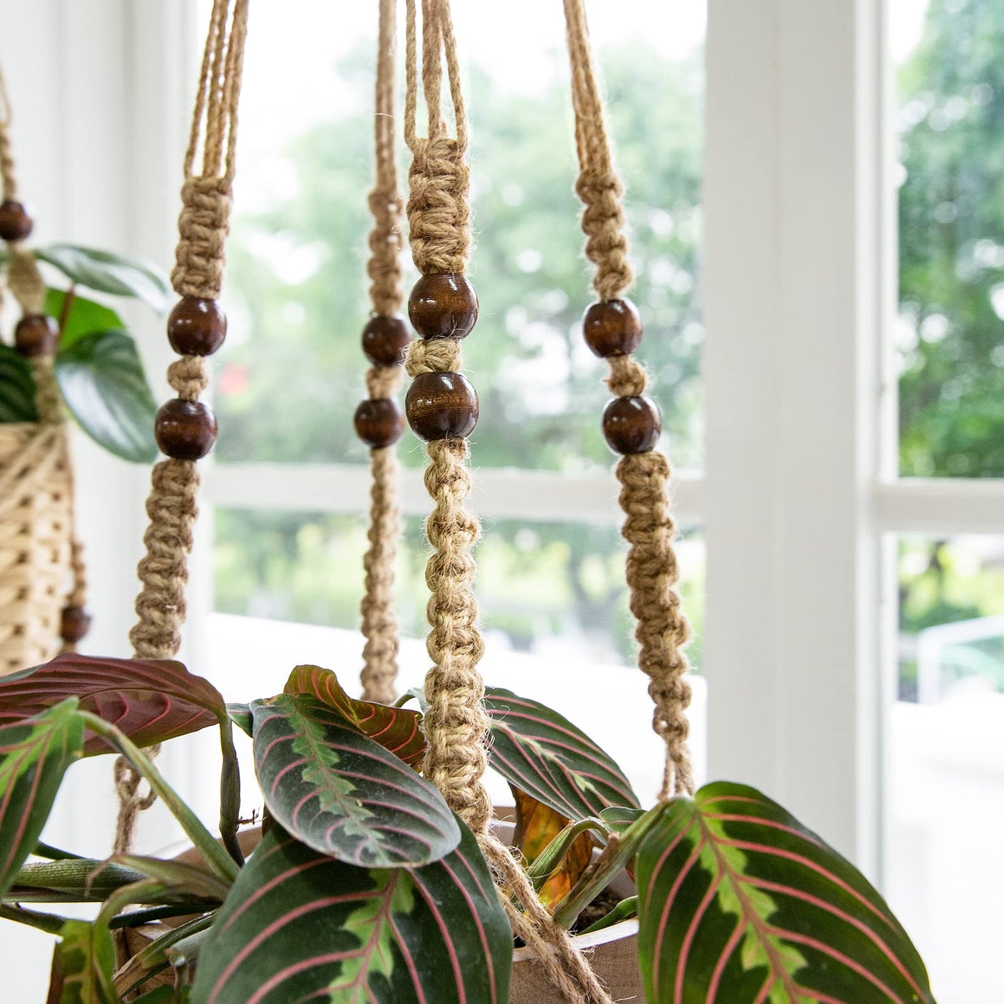 Mkono 3 Pack Macrame Plant Hangers and Ceiling Hooks, Indoor Different Size Hanging Planter Basket Flower Pot Holder with Beads No Tassels, Medium, Brown