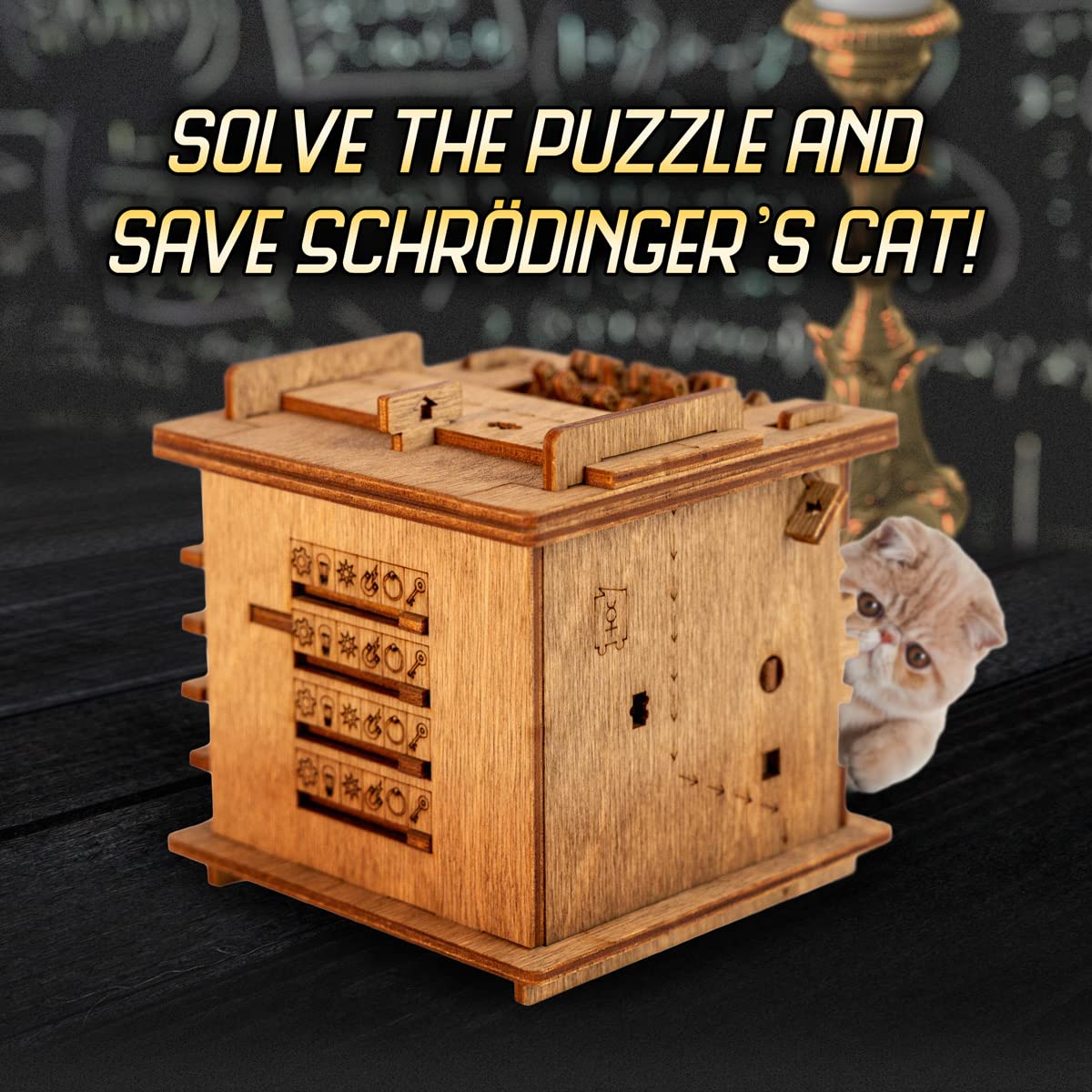 iDventure Cluebox Schroedingers Cat | Escape Room Puzzle Box | Challenging 3D Puzzle | Unique Gift Idea for Men an Women