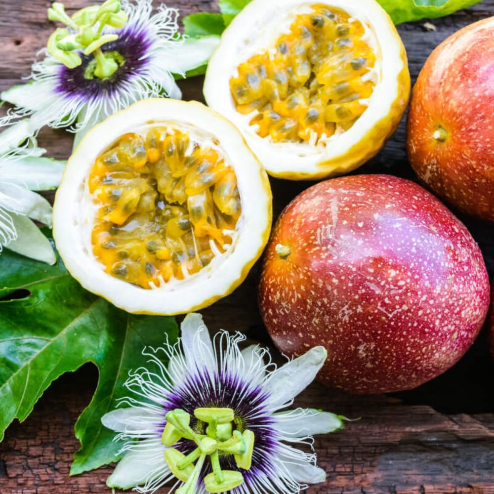 Red Passion Fruit Plant Live, Tropical Fruit Vine for Planting, 5-10" Tall, Sweet Edible Fruits, Passionfruit Seedling