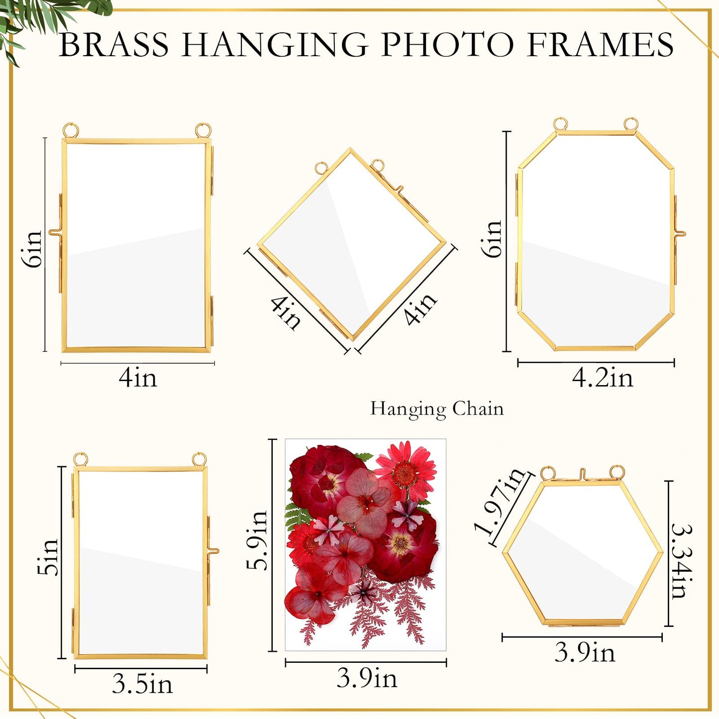 Bucherry 5 Pcs Glass Frame for DIY Pressed Flowers Art Brass Hanging Photo Picture Frame with Chain and 6 Styles Pressed Flowers Collage Glass Craft Frames for Wall Decor Display Gallery (Gold)