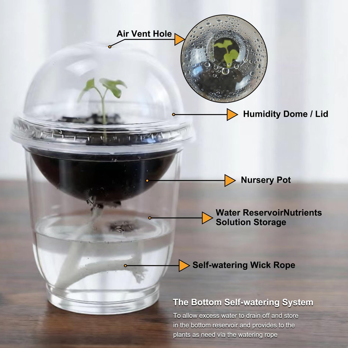 ORIMERC 30 Set Nursery Pots with Humidity Dome, Clear Nursery Pots with Drainage, Self Watering Small Plant Pots, Seedling Pots for Plants, Seed Starter Pots for Planting Vegetables Fruit Flower