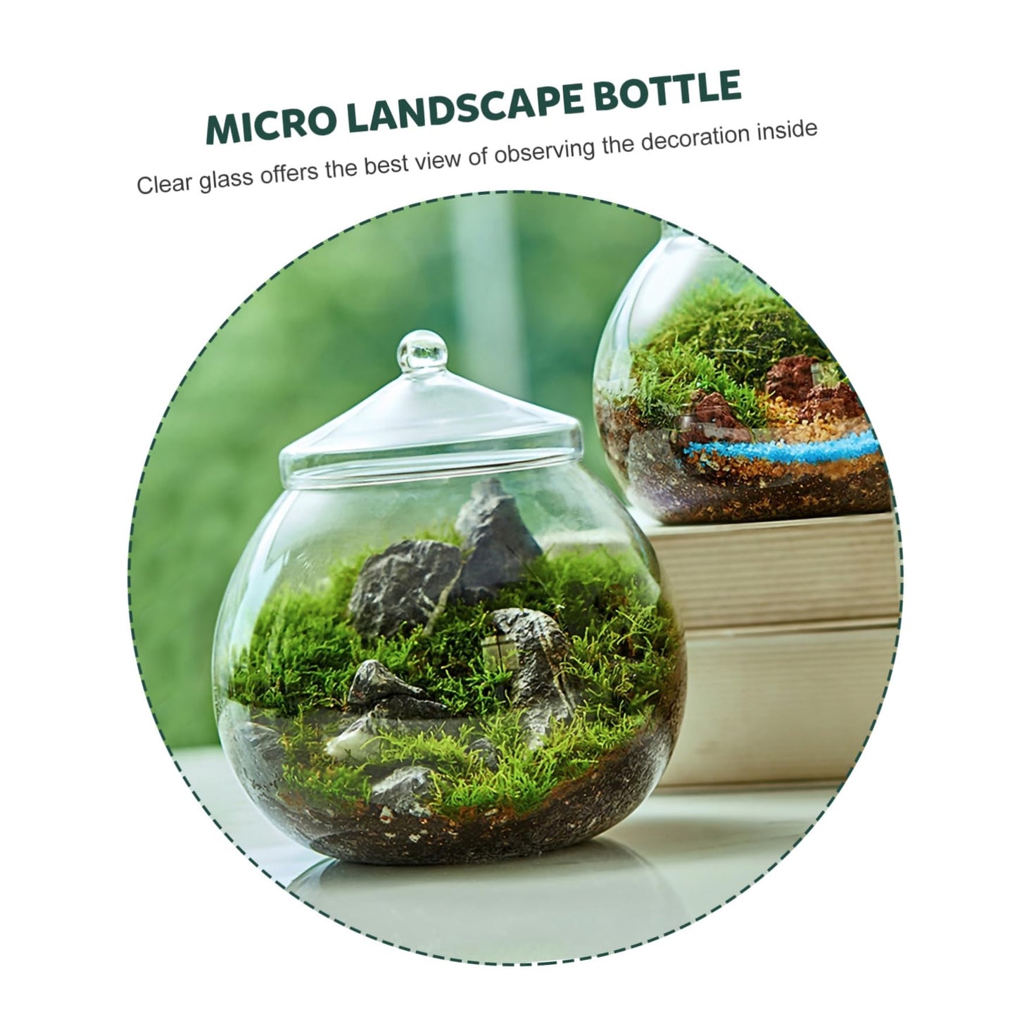 1Set Micro Landscape Bottle for DIY Terrarium Crafts Glass Eco Bottle with Style Lid Indoor Home Decor Creative Plant Display for Moss Miniature