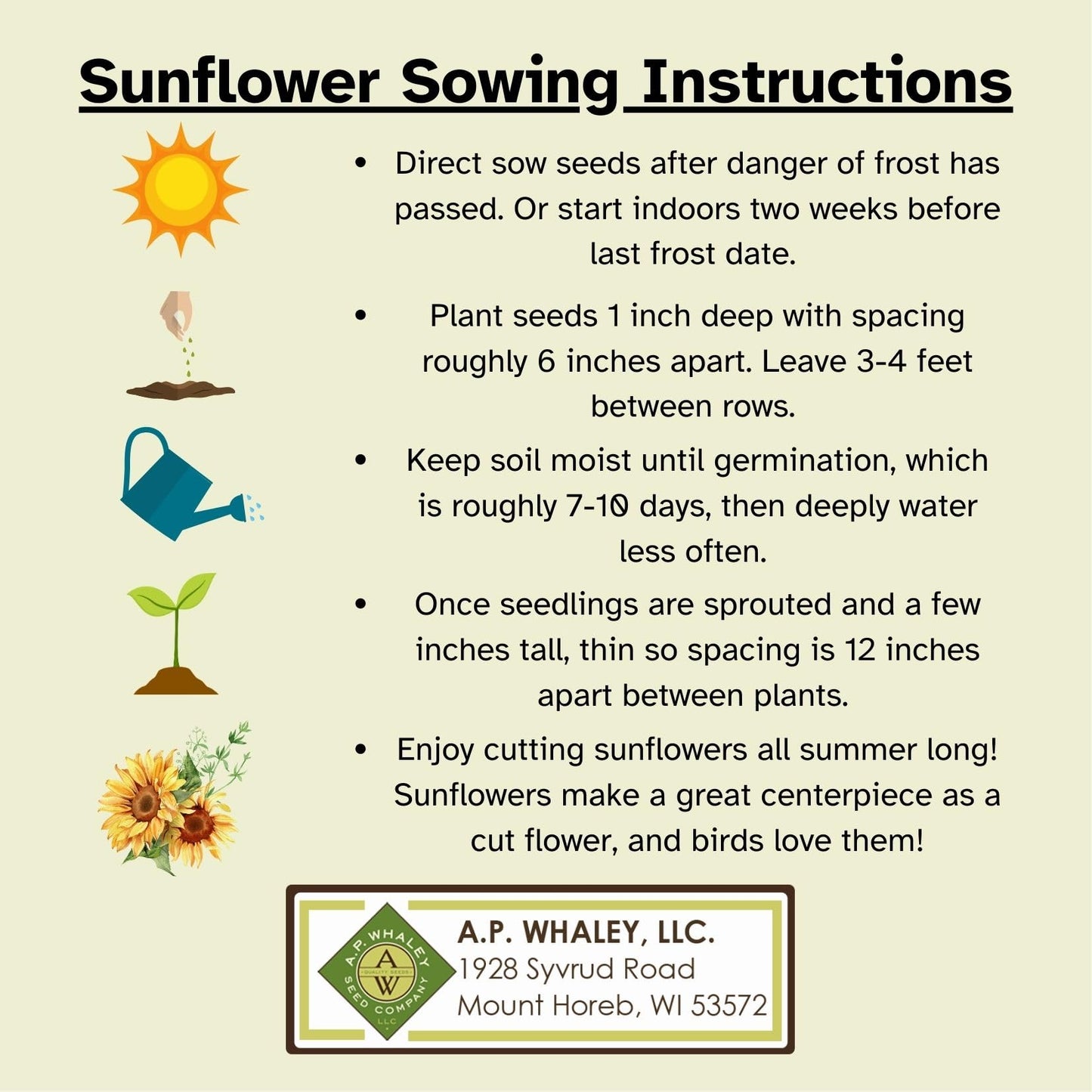 Mongolian Giant | Organic 1 oz Seed Packet | Large Cutting Sunflower | Attracts Pollinators | Heirloom, Non-GMO, Organic Sunflower Seeds