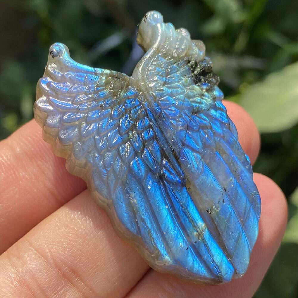 1PC Natural Labradorite Hand Carved The Wing Skull Quartz Crystal Healing Reiki