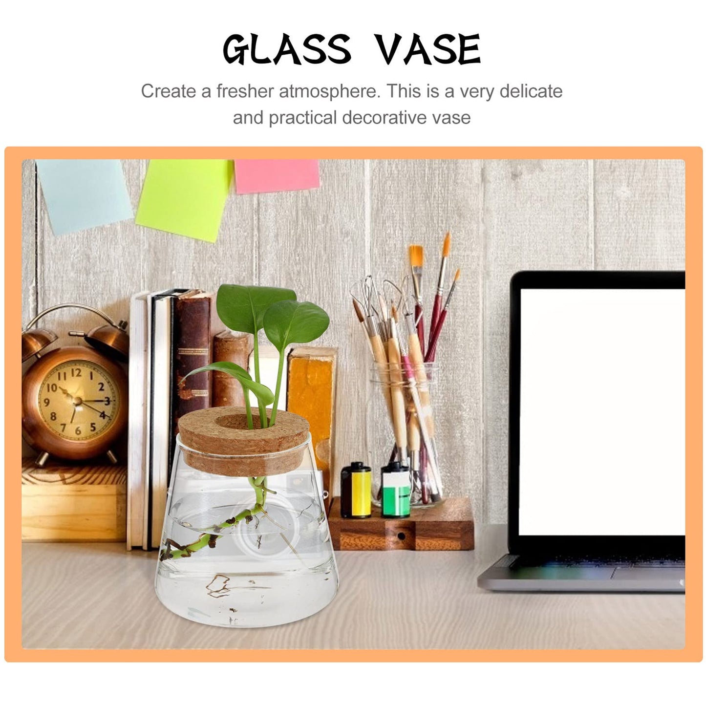 NOLITOY 2pcs Desktop Glass for Hydroponics Stylish Water Vase for Decor Glass Terrarium for Plant Propagation