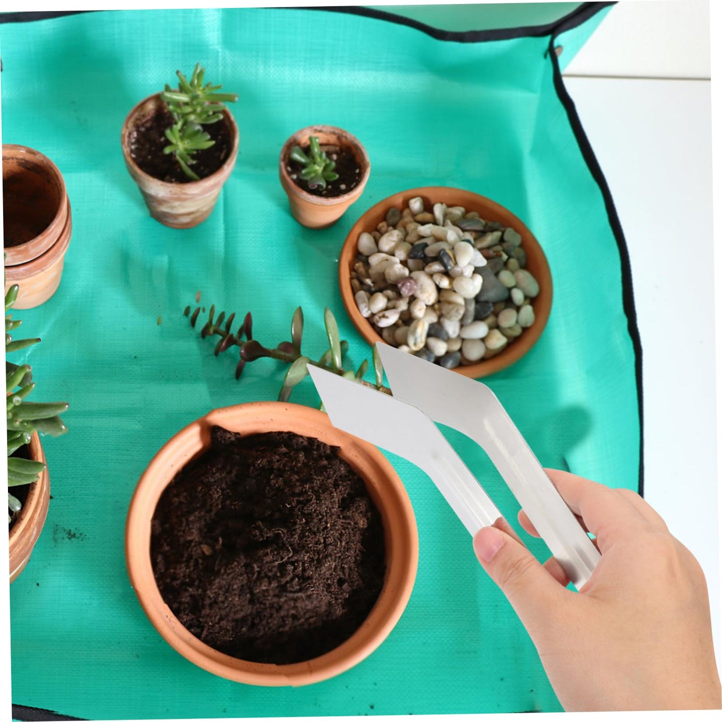 IWOWHERO Multi-use Plants Supplies for Plants Remove Transplant Portable Small Tongs