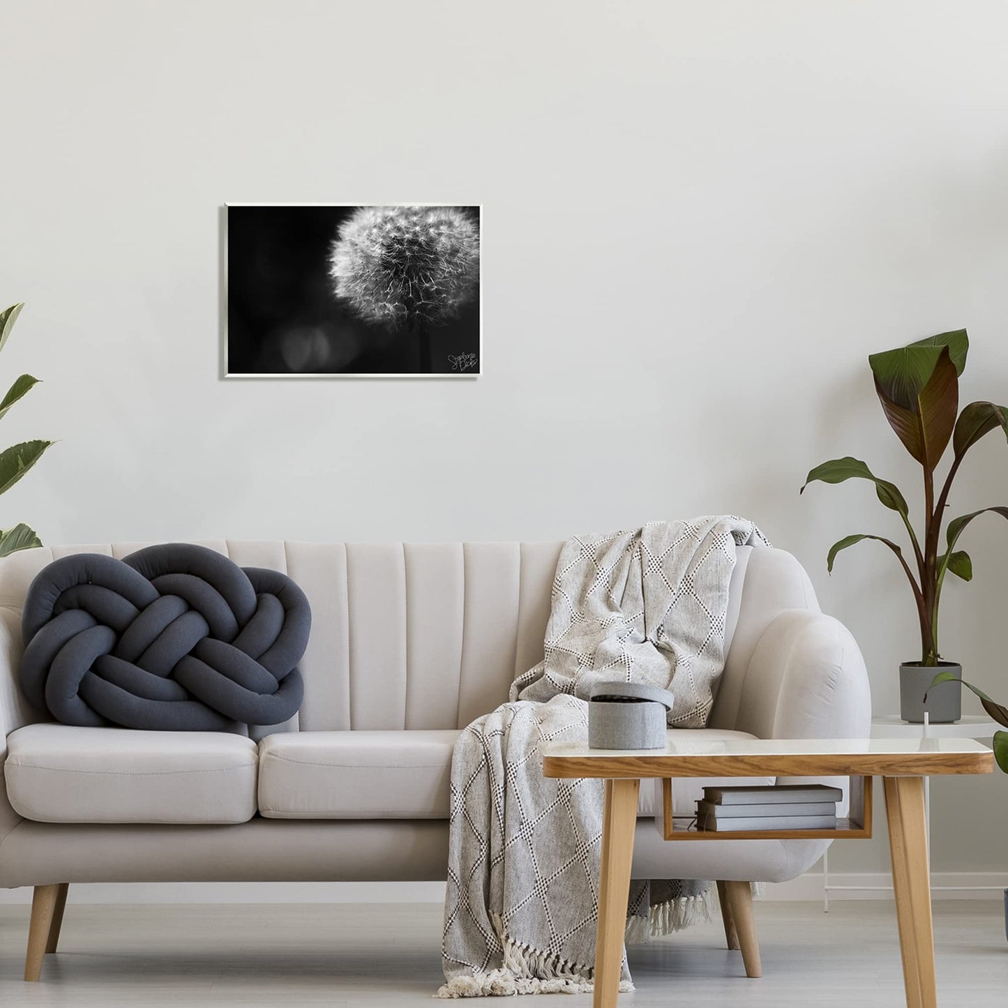 Stupell Industries Modern Black Dandelion Photography Wall Plaque Art, Design by Stephanie Dicks