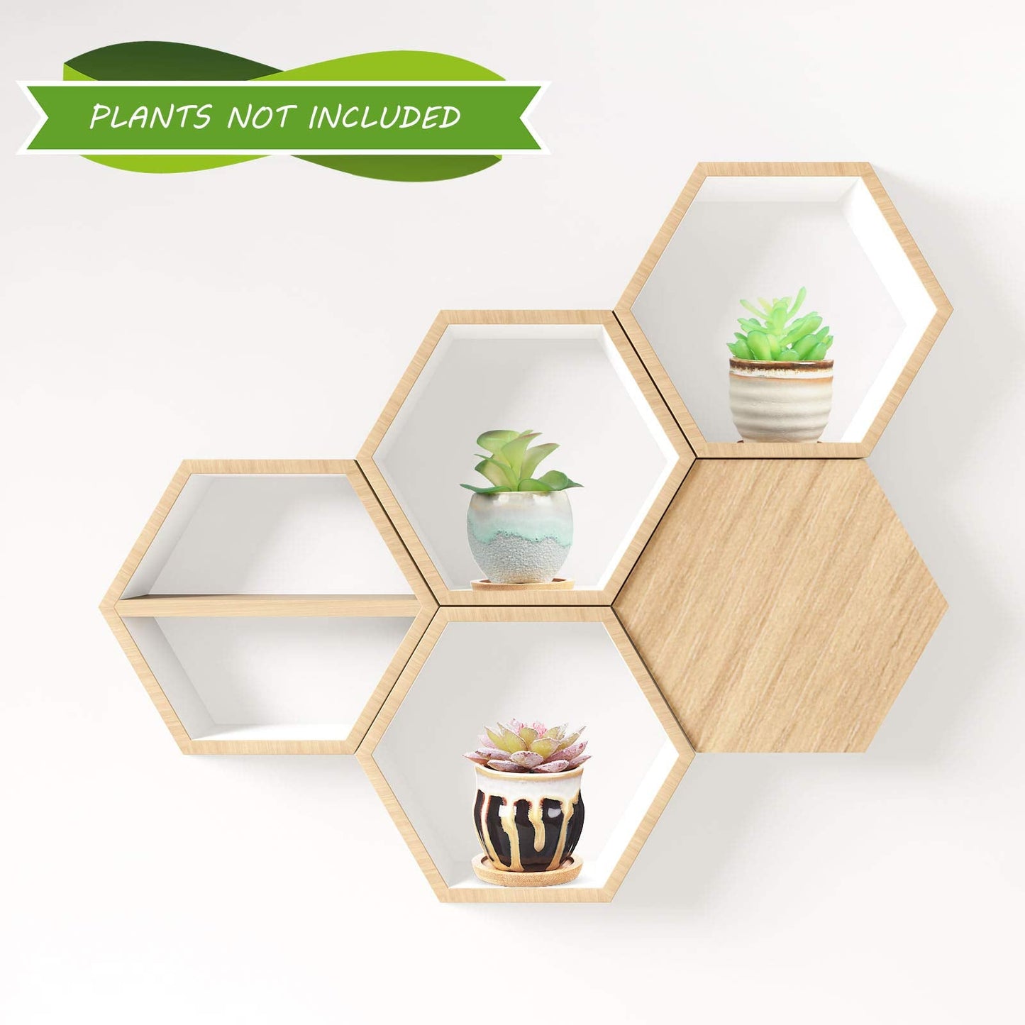 BBTO 6 Set Mini Succulent Pots Bulk with Drainage and Bamboo Tray 2.9 x 3.1 Inch Small Cute Ceramic Succulent Planter Pot Garden Glaze Container Ideal Present for Cactus Office Home Decoration Gift