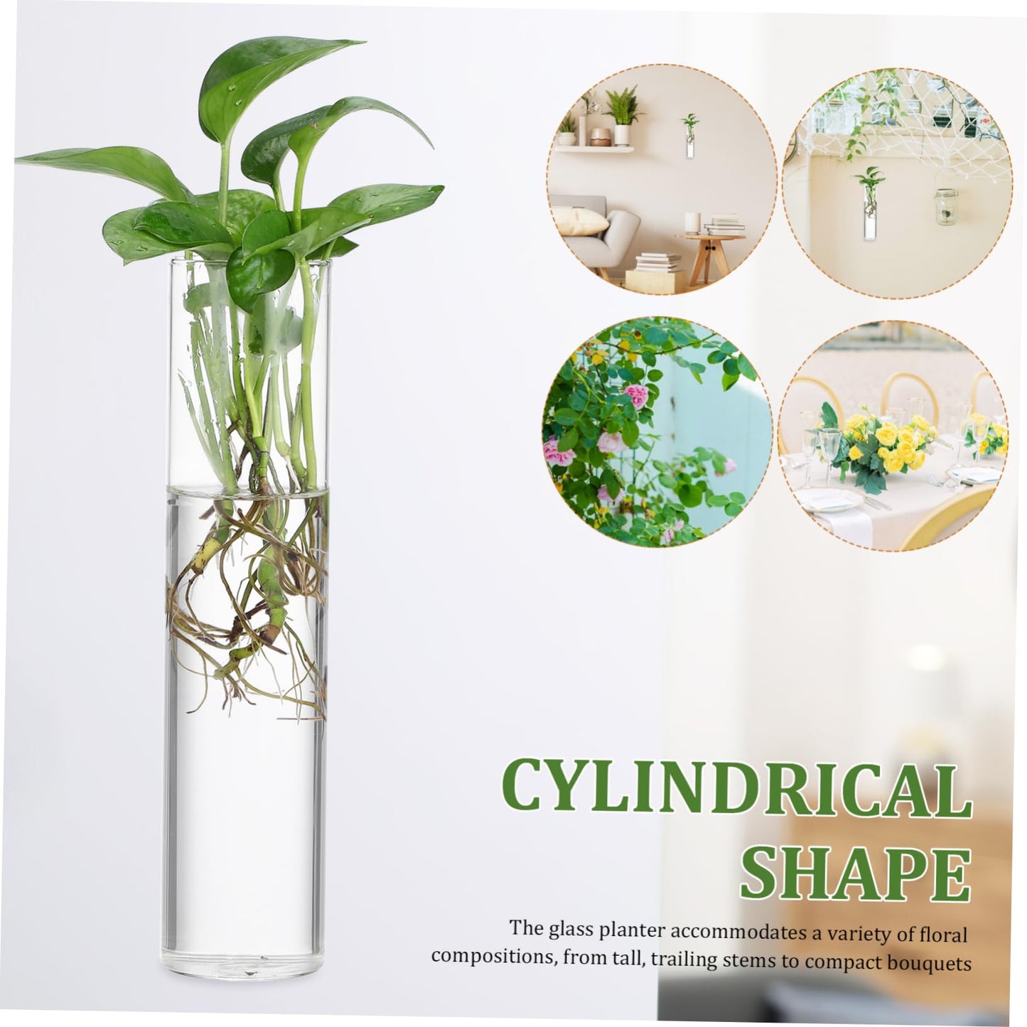 iplusmile 2pcs Hanging Wall Planters Glass Vases for Indoor Plants Cylindrical Propagation Stations Clear Terrarium Holders Home Office Decor