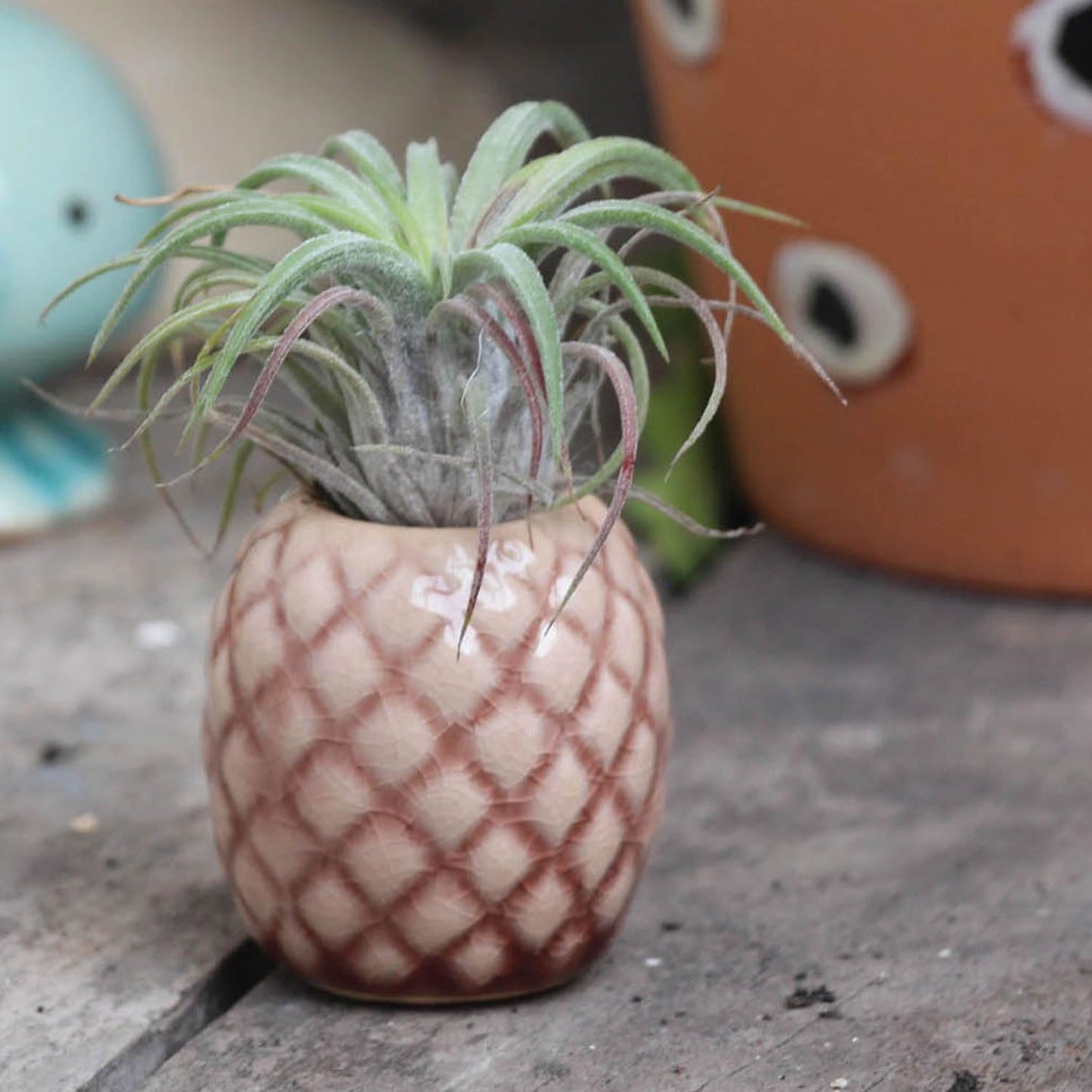 SCSFCVIUS Air Plant Holder Ceramic Planter - 4pcs Ceramic Cute Pineapple Air Plant Planter Tillandsia Airplants Table Countertop Holders (4 Pineapple)
