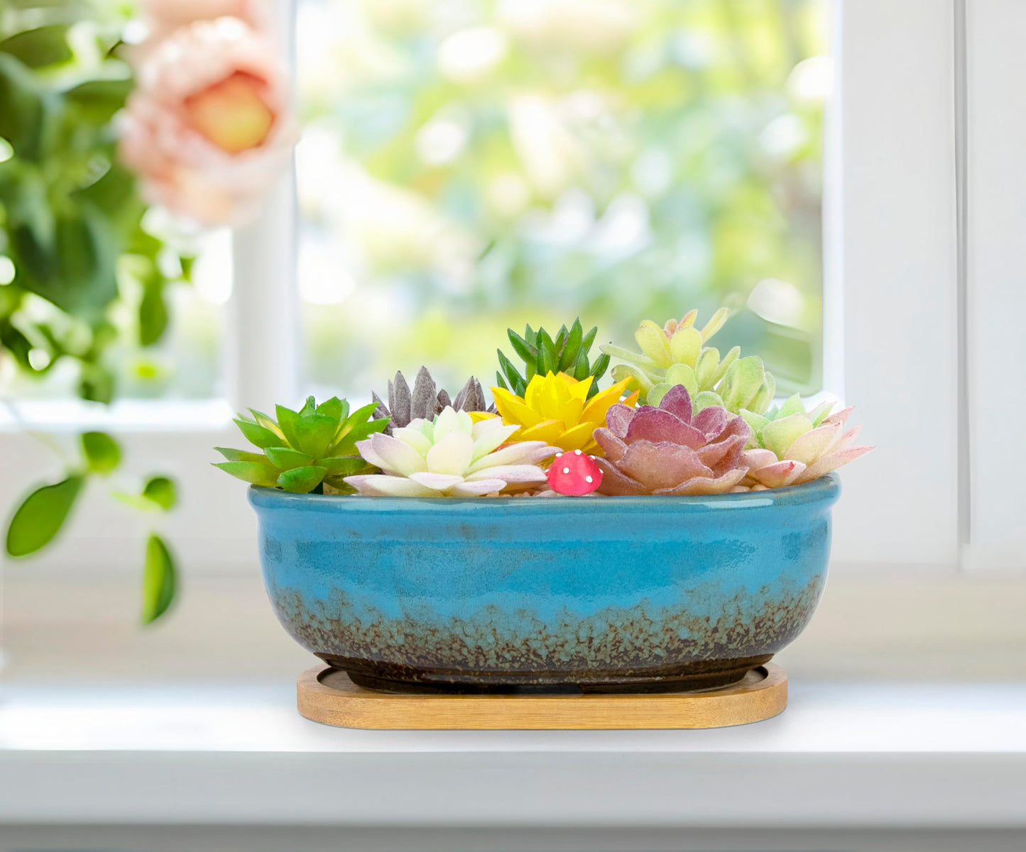 Succulent Pots, 1 Rectangle Planter + 1 Ceramic Bonsai Pot with Drain Tray, 2 Pack Large Shallow Succulent Planters for Indoor Plants, Round Cactus Flower Plant Pot for Desk Windowsill Decor