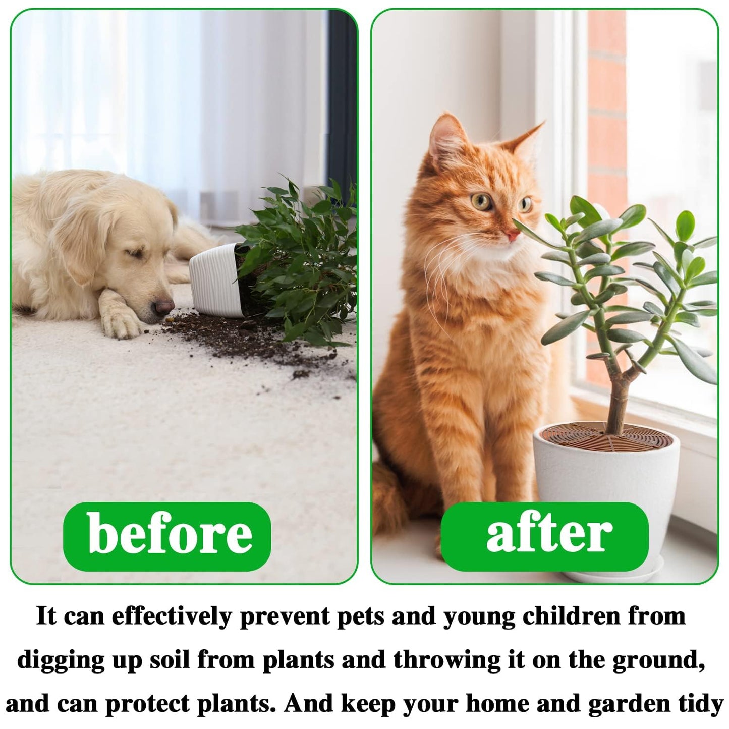 Srmayyi 11.8 Inch Plant Pot Grid,6 Pack Plant Pot Soil Covers Protectors with 48 Stakes,Cat Pet Digging Stopper for Indoor Outdoor