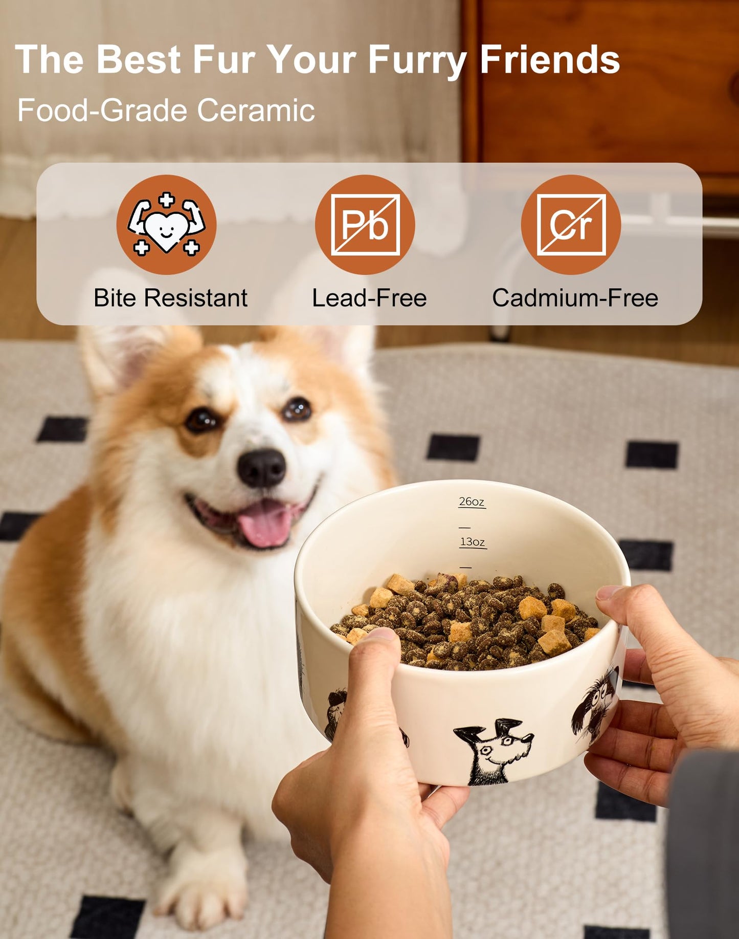 BICOPET Ceramic Cute Dog Bowl with Non-Slip Ring - 6.5 Cups, Heavy-Duty Stoneware Bowl, Pet Feeding, Microwave and Dishwasher Safe-Derpy-L (Single Bowl)