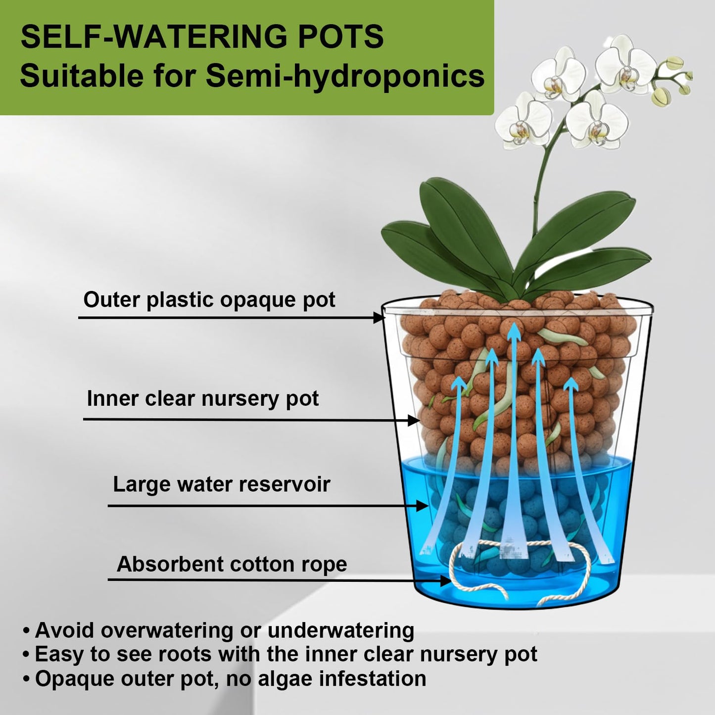 TineDew 4 Pack of 7in and 5in Double-Layer Self-Watering Pot with Clear Nursery Pot - Indoor Planter with Drainage for Root Visibility,semi Hydro pots for repotting Orchids,Aroid or Monstera,White
