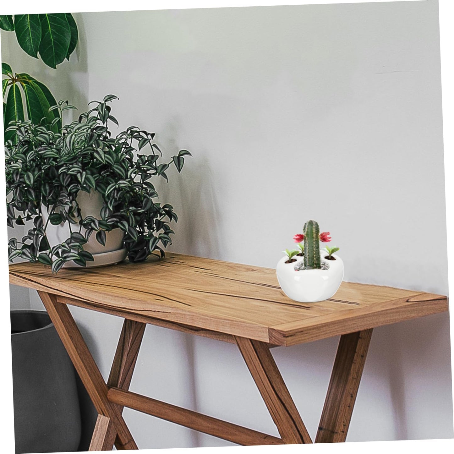 LIOOBO 2pcs Cat Claw Flower Pot Decorative Container with Drainage Cute Cacti Pot for Home Decoration for Room Office Balcony and Desk