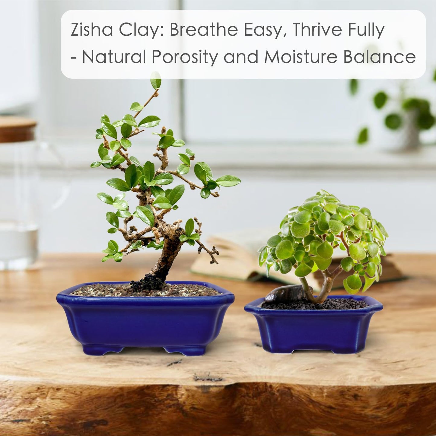 Set of 2 Zisha White Clay Bonsai Pot Glazed Shallow Succulent Planter Blue