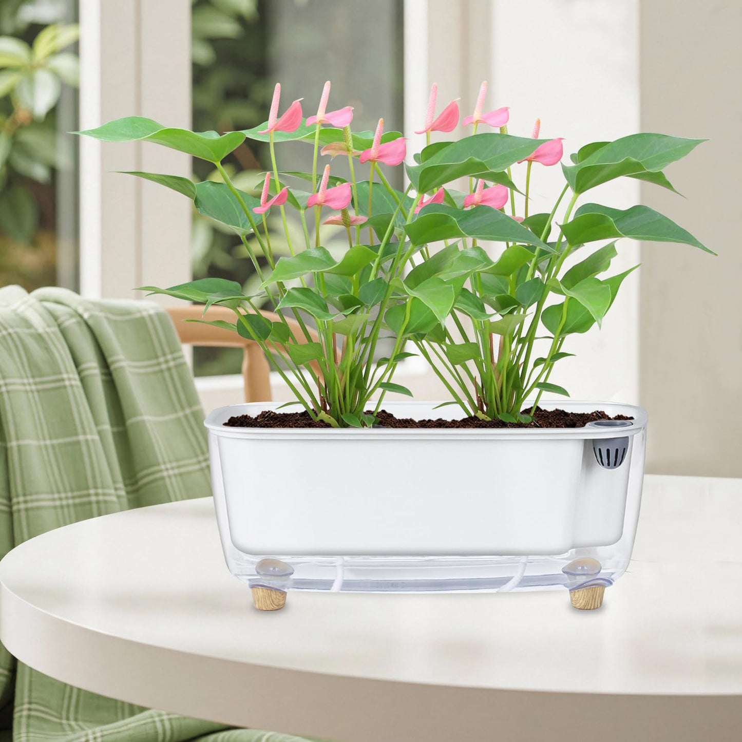Oliz Self Watering Planter with Coco Coir Pellets, 11.8 Inch Plastic Rectangular Windowsill Plant Pot with Drainage Holes, High Clear Modern Decorative Flower Pot for Indoor Plants, African Violets