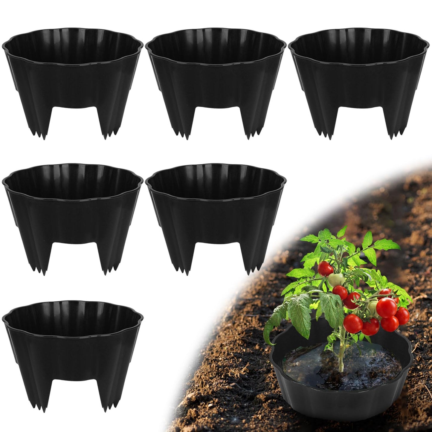 pdpdoc 6 Pack of 10 Inch Planting Grow Rings, Planting Protective Round Garden Edging, Keeping Plants Separated, Weed Control and Directing Water to the Roots (10 Inch - 6 Pack - Black)