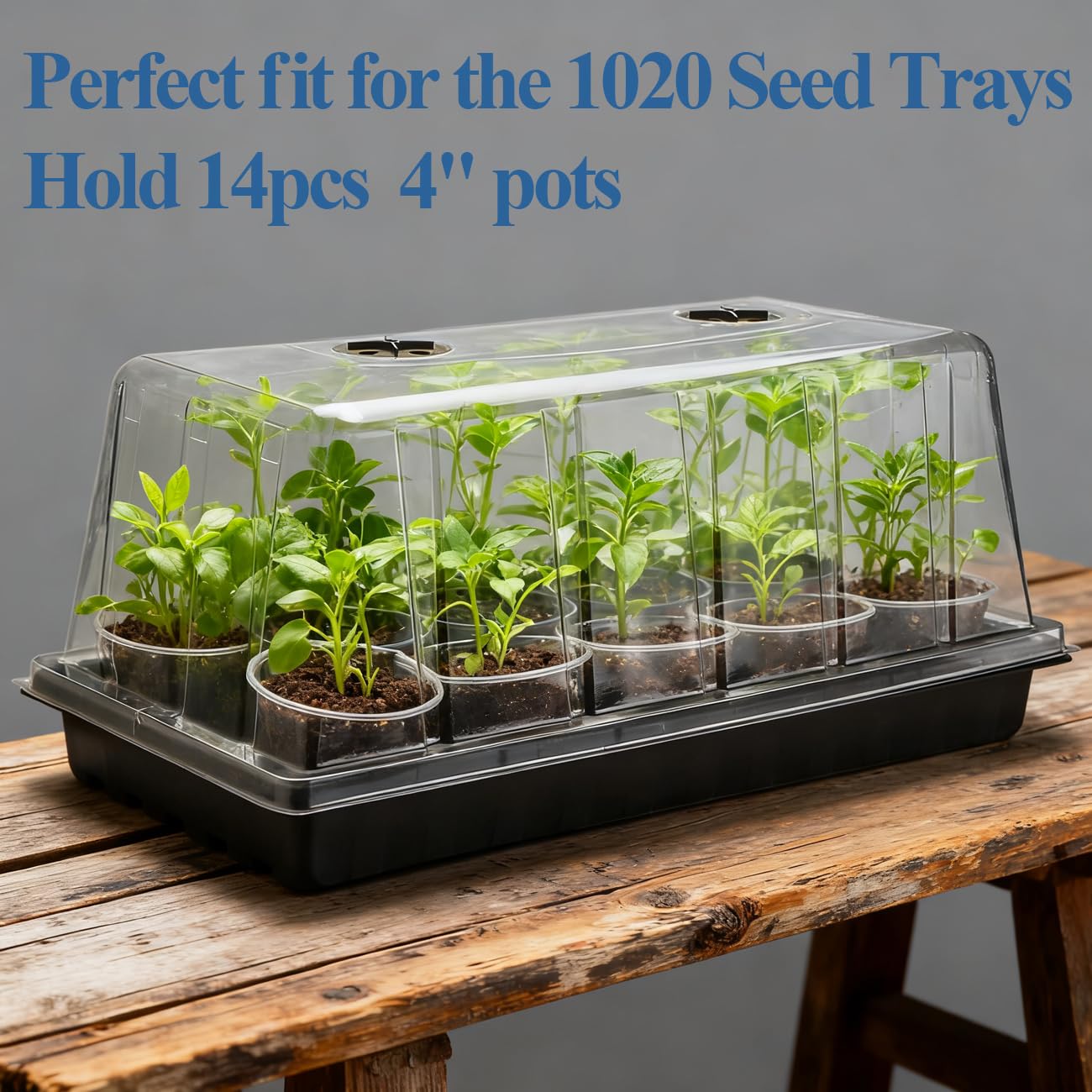 1020 Plant Tray with Tall 7.3'' Dome, 5-Pack Extra Large Seed Starter Tray with Humidity Domes, Heavy Duty 1020 Trays and Flats with Lid, Seed Germination Mini Greenhouse No Hole for Balcony Garden