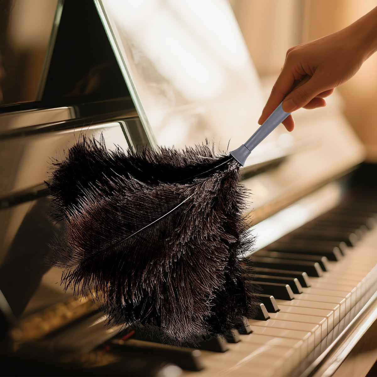 Feather Duster