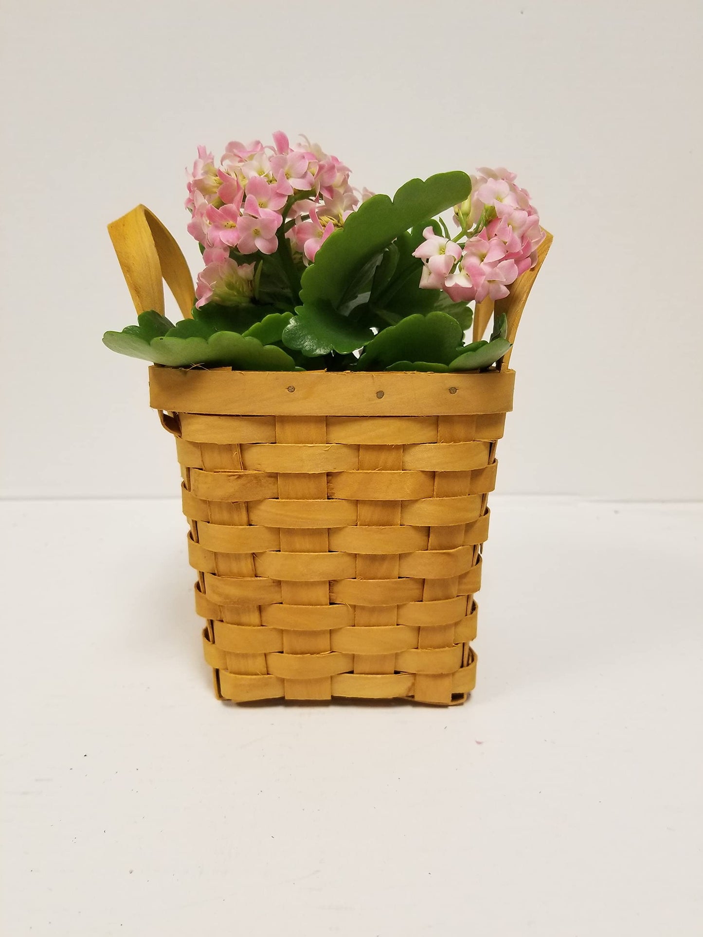 Live 4" Pink Kalanchoe in 4" Square Wicker Basket