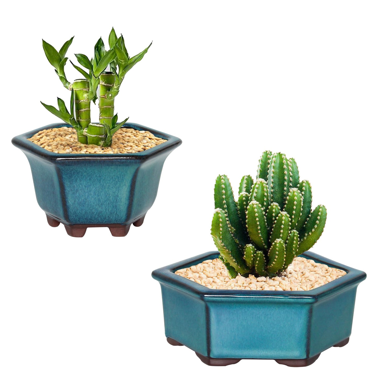 Bonsai Planter 2pc Small Succulent Glazed Pots 4.9" and 6.1" + 6 Soft Mesh Drainage Screens