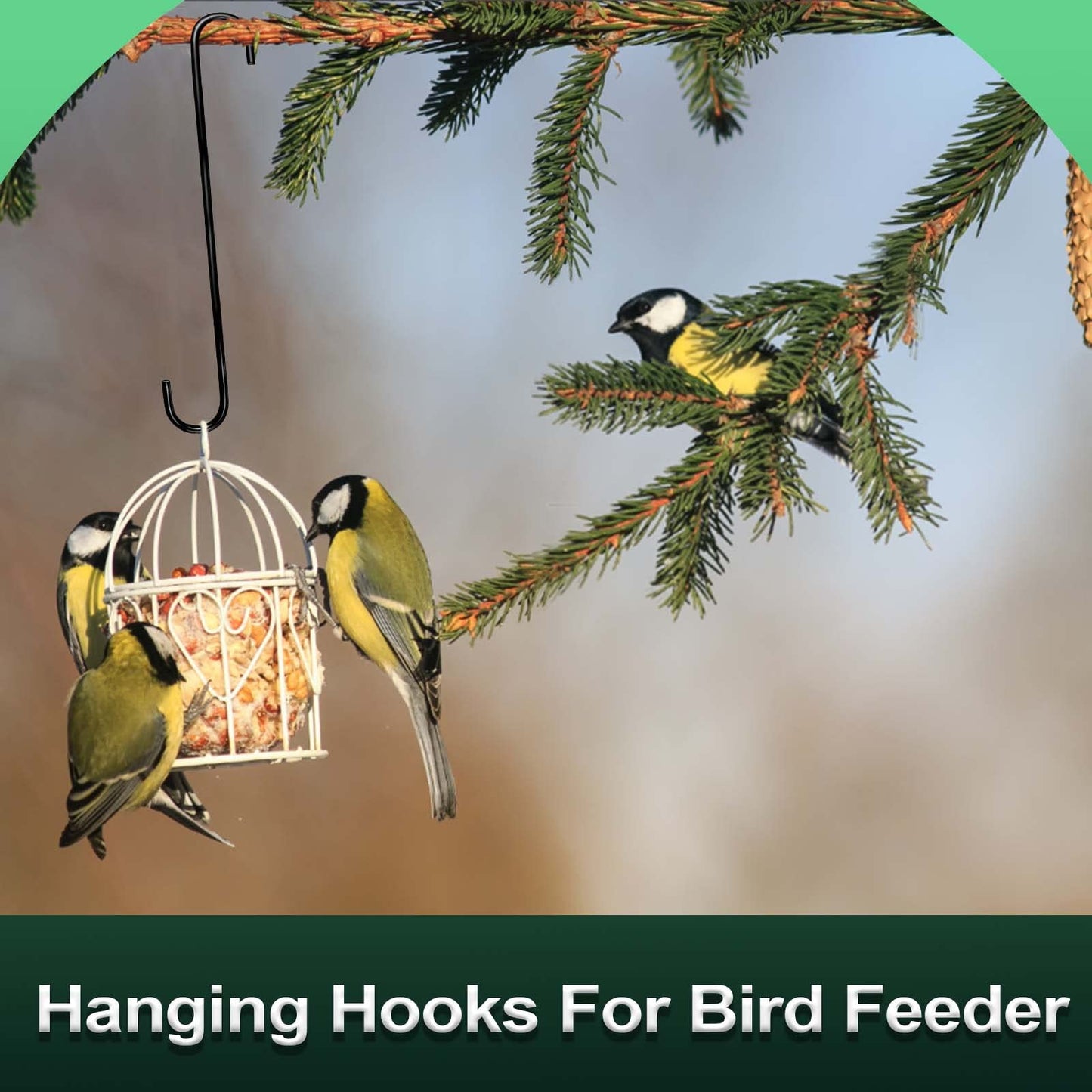 DINGEE 8 Pack 14 Inch Extra Large S Hooks -Heavy Duty Long S Hooks for Hanging Plant,S Hook for Tree Branch,Bird Feeder,Pots and Pans Closet Garden Pergola Indoor Outdoor X-Large