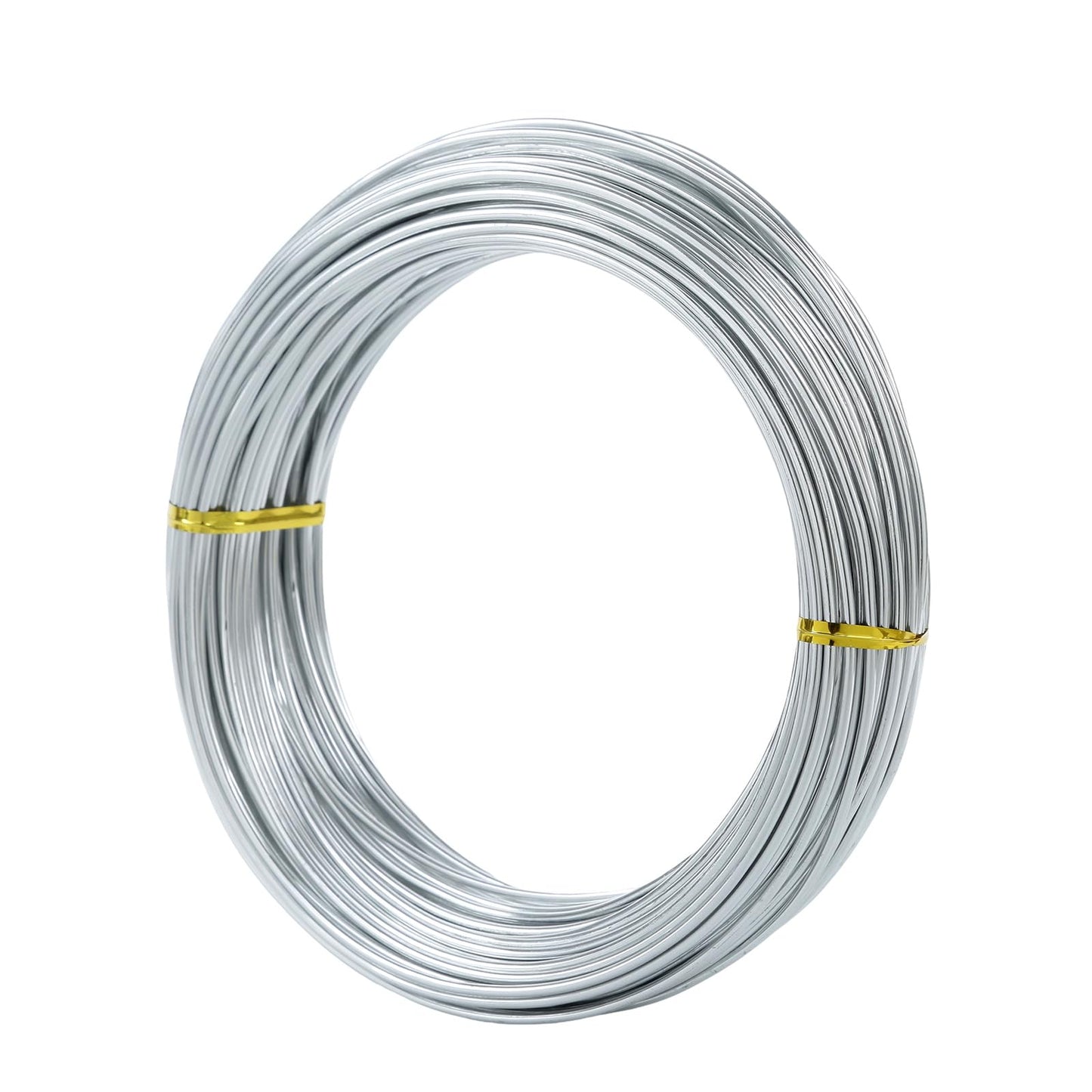 Bendable Aluminum Craft Wire - 2mm 12 Gauge (30m / 100ft) Spool, Floral Wire for Artificial Flowers, Jewelry Making Wire for Beading & Wire Wrapping - Silver