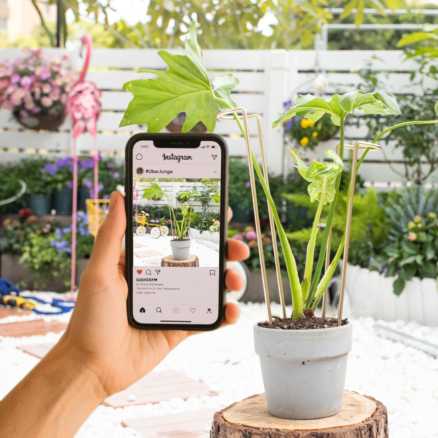 GOOOXIM 12-Inch Monstera Support - 10 Pack Medium Plant Support for Indoor and Outdoor Plants, Durable Stem Holder Trellis for Monstera and Spring Plant Stakes, Ideal for Home, Balcony, and Terrace