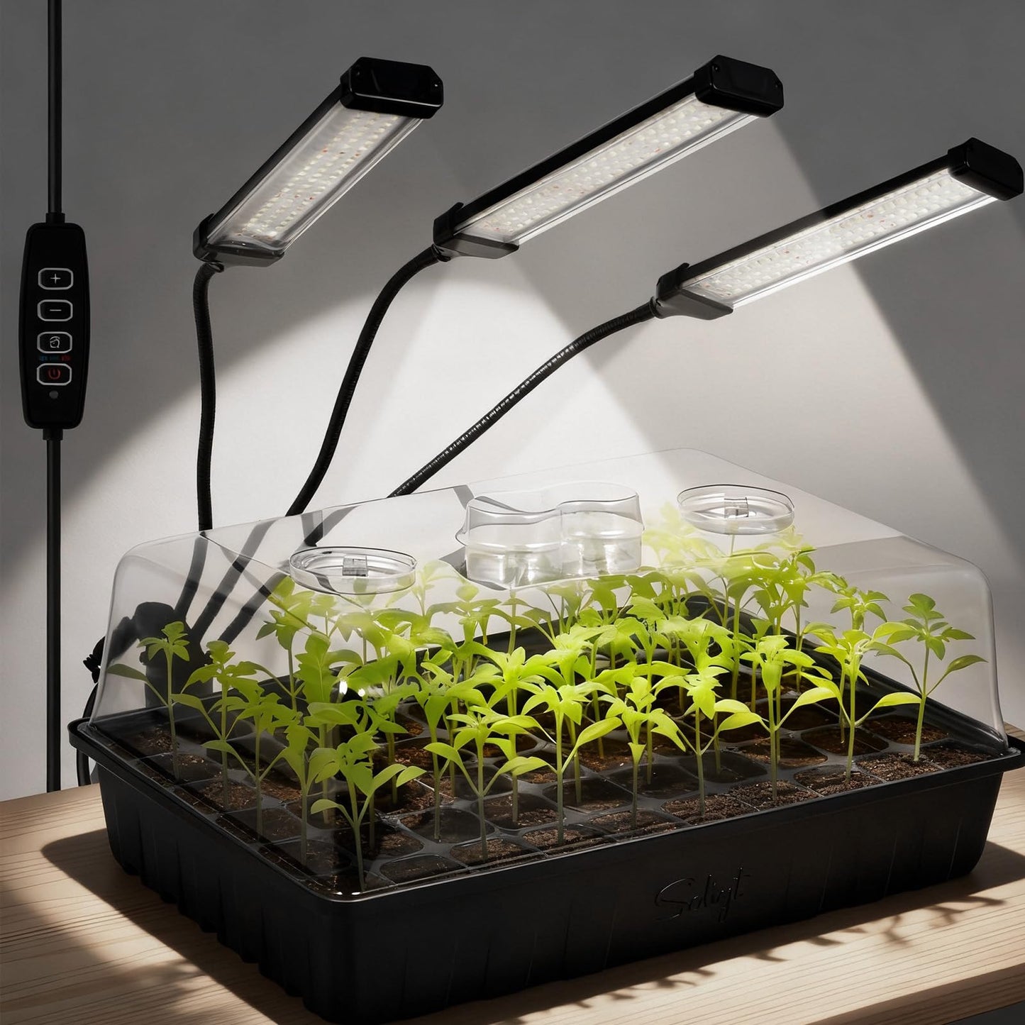 SOLIGT 60 Cell Seed Starter Trays with Grow Light, Seed Starter Kit with 4.3“ Higher Humidity Domes, Full Spectrum Seedling Light with 8/12/18H Timer for Seed Starting, Seedling Growing