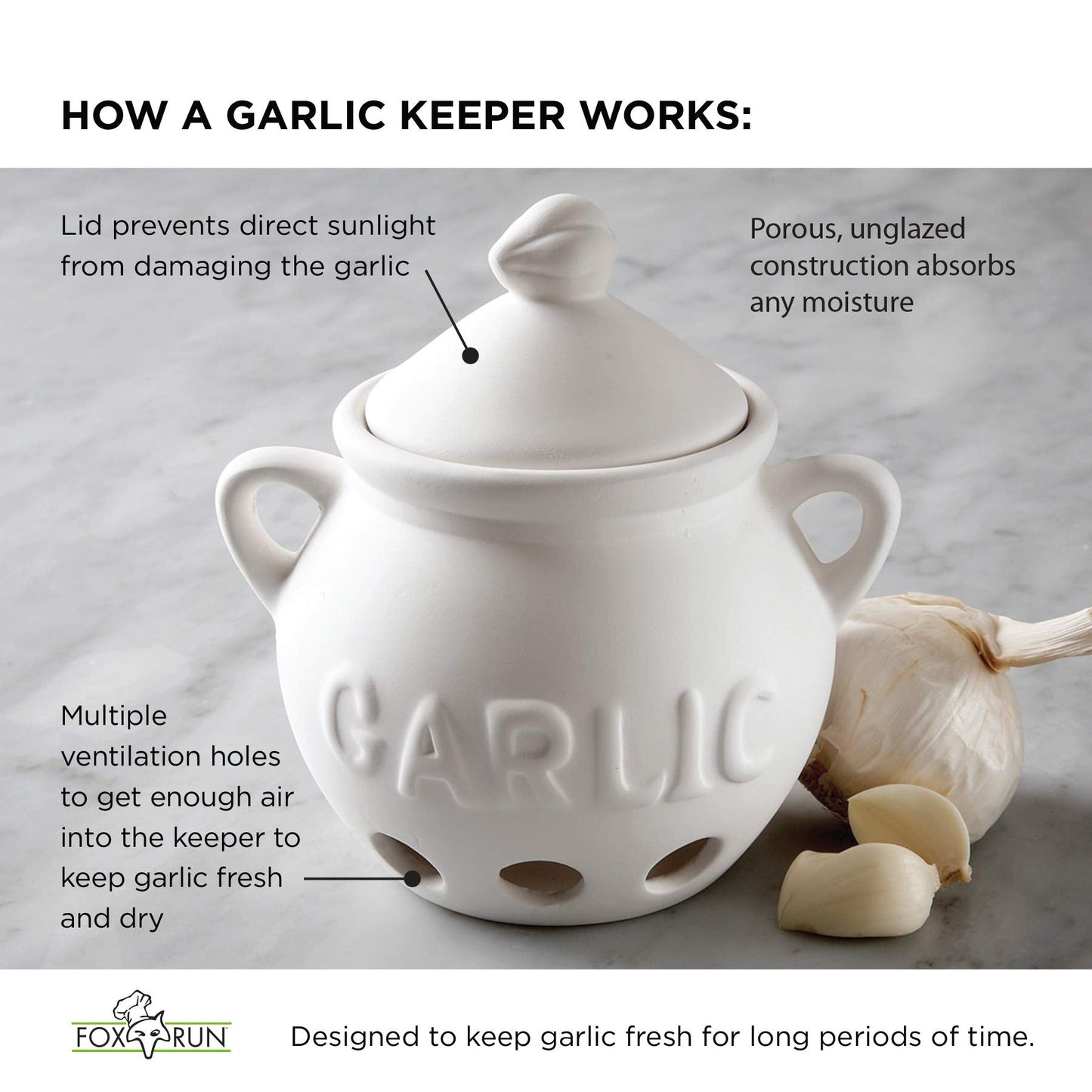 Fox Run Garlic Keeper, Terra Cotta, Red, 4.25 x 5.25 x 5.25 inches