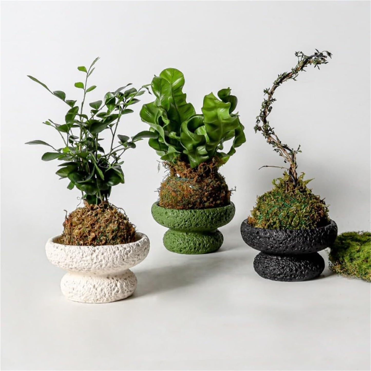 FXLTHIYBO Sleek Cement Creative Meteorite Pattern Flower Pot Planter Plants Flowers Bonsai Decoration for Indoor use(Black,Large)