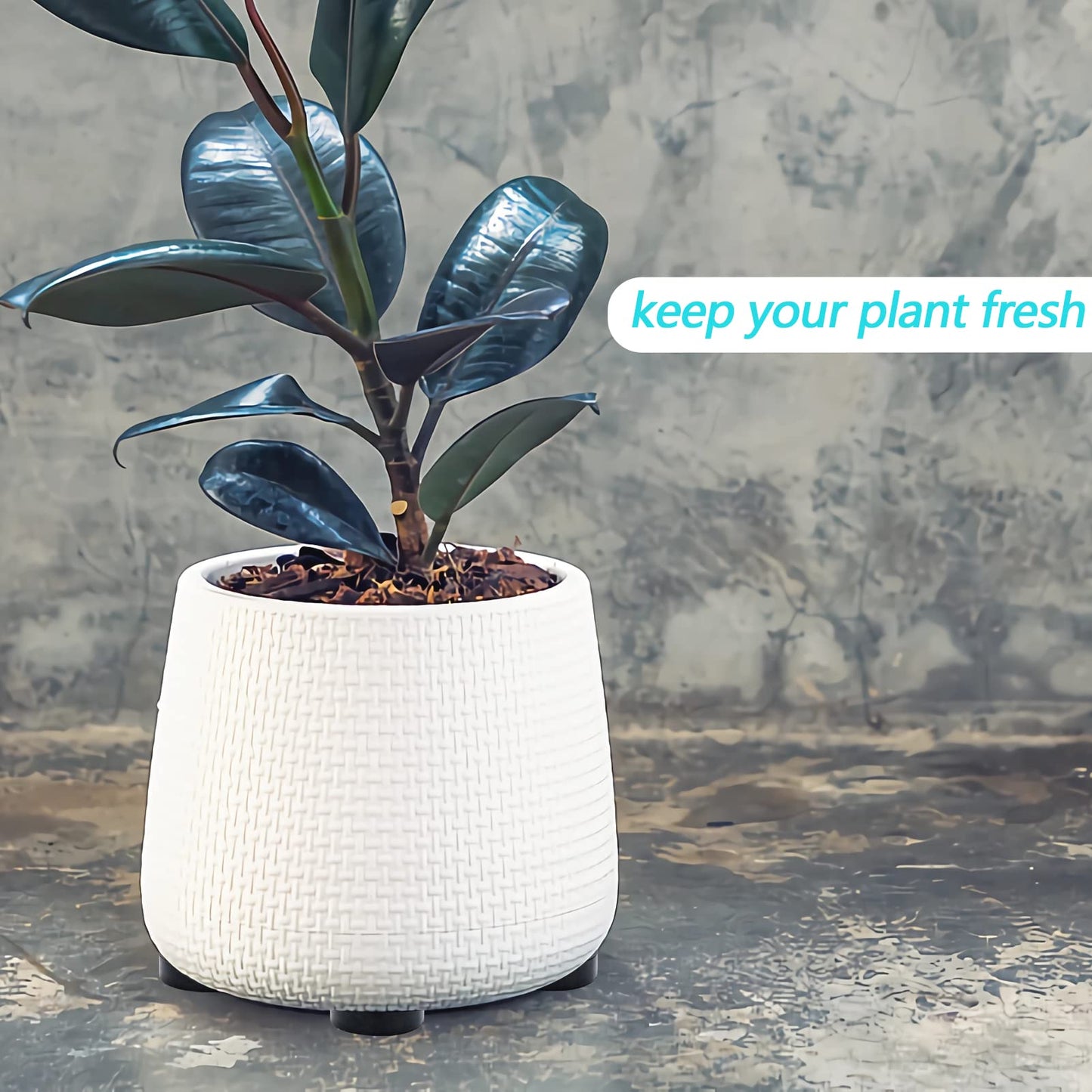 Ayipaqen 20 Pack Invisible Pot Feet, Non-Slip Solid Rubber Plant Pots Risers, 0.06" Durable & Reusable Pot Lifters for Indoor & Outdoor Planters, Drainage & Moisture Control Pads, Non-Scratch
