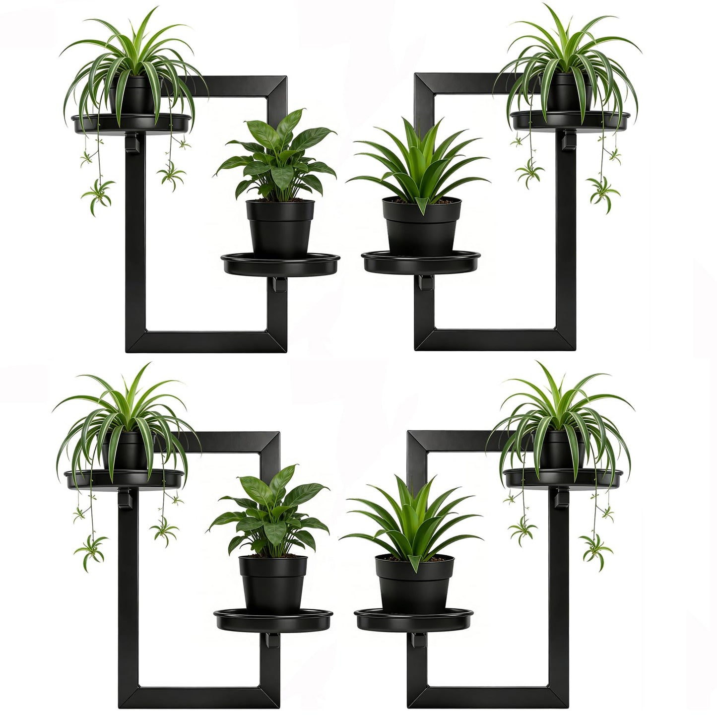 TECKED 4 Pack Wall Planters for Indoor Plants, Modern Style, Hanging Plant Holder, Window Plant Hanger, Black, Space Saving, Durable