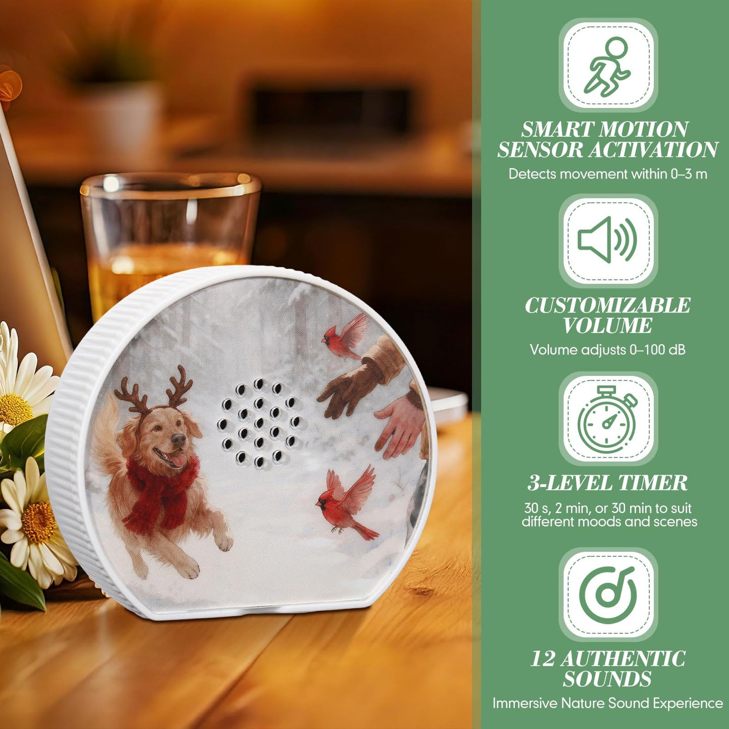 Hollowfly Singing Bird Box White Noise Sound Machine LED Light Radar Sensor Relaxation Device with 12 Natural Sounds Scenery Card Timer Bird Lover Gift for Sleeping Winter Holiday Staff Teacher Office