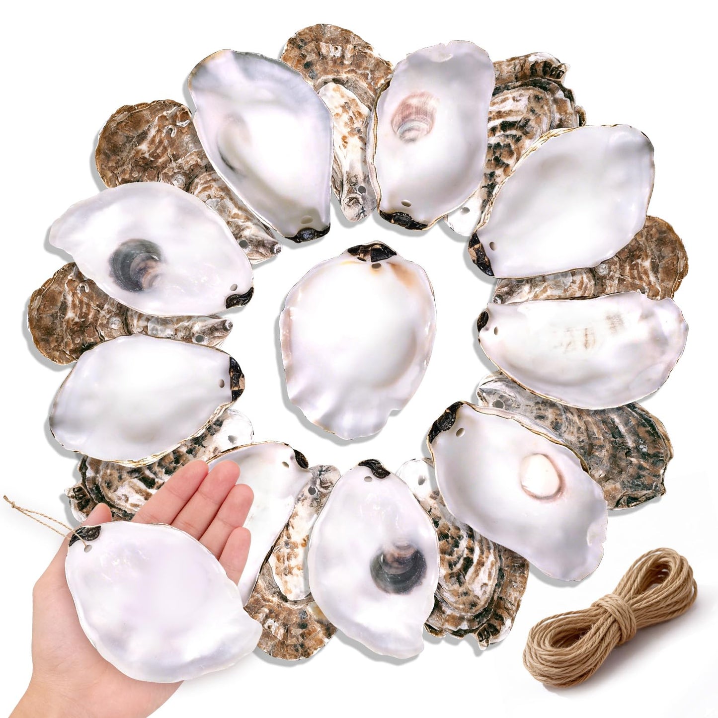 20Pcs Oyster Shells for Crafts,4"-5" Natural Large Flat Oyster Shells with Holes Drilled & Jute Rope for DIY Crafting, Sea Shells Ornaments Decoupage for Beach Home Decor Painting Chicken (20)