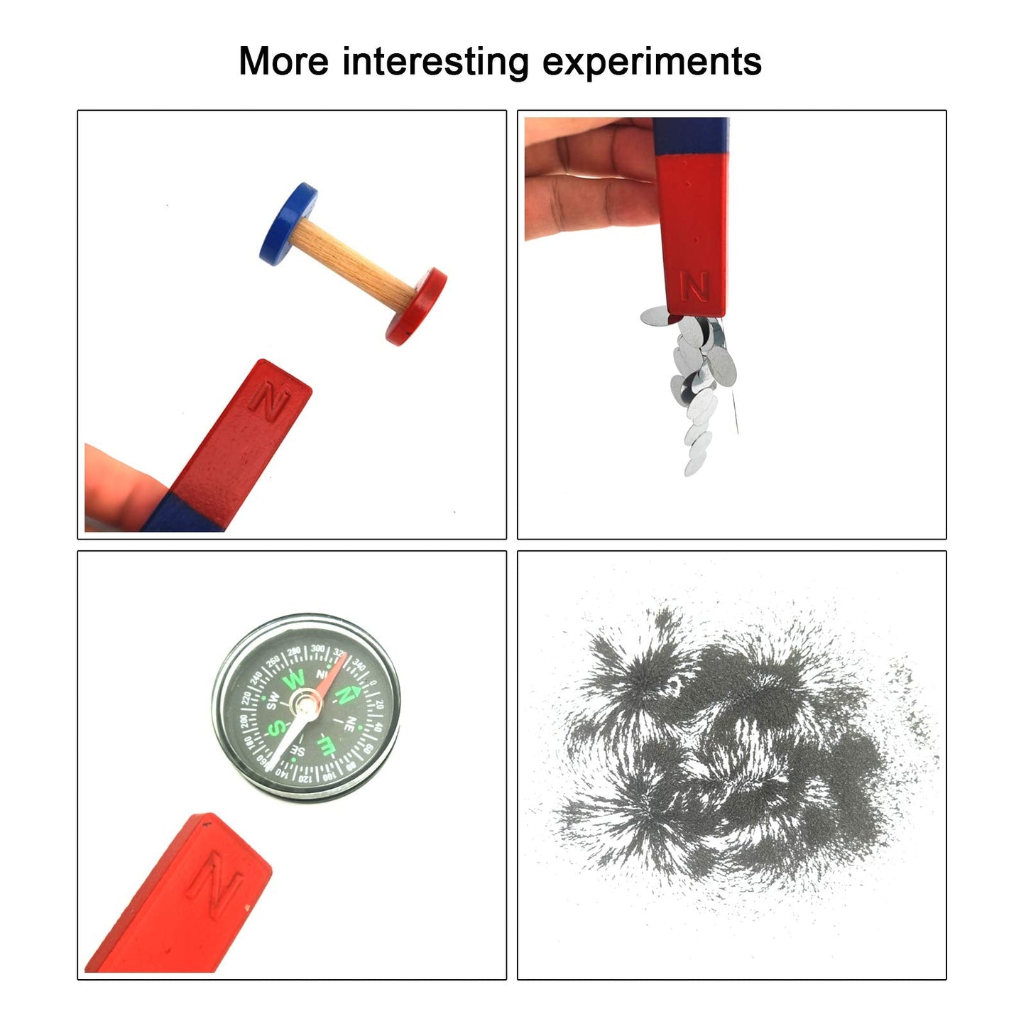 EUDAX Physics Science Magnets Kit for Education Science Experiment Tools Icluding Bar/Ring/Horseshoe/Compass Magnets