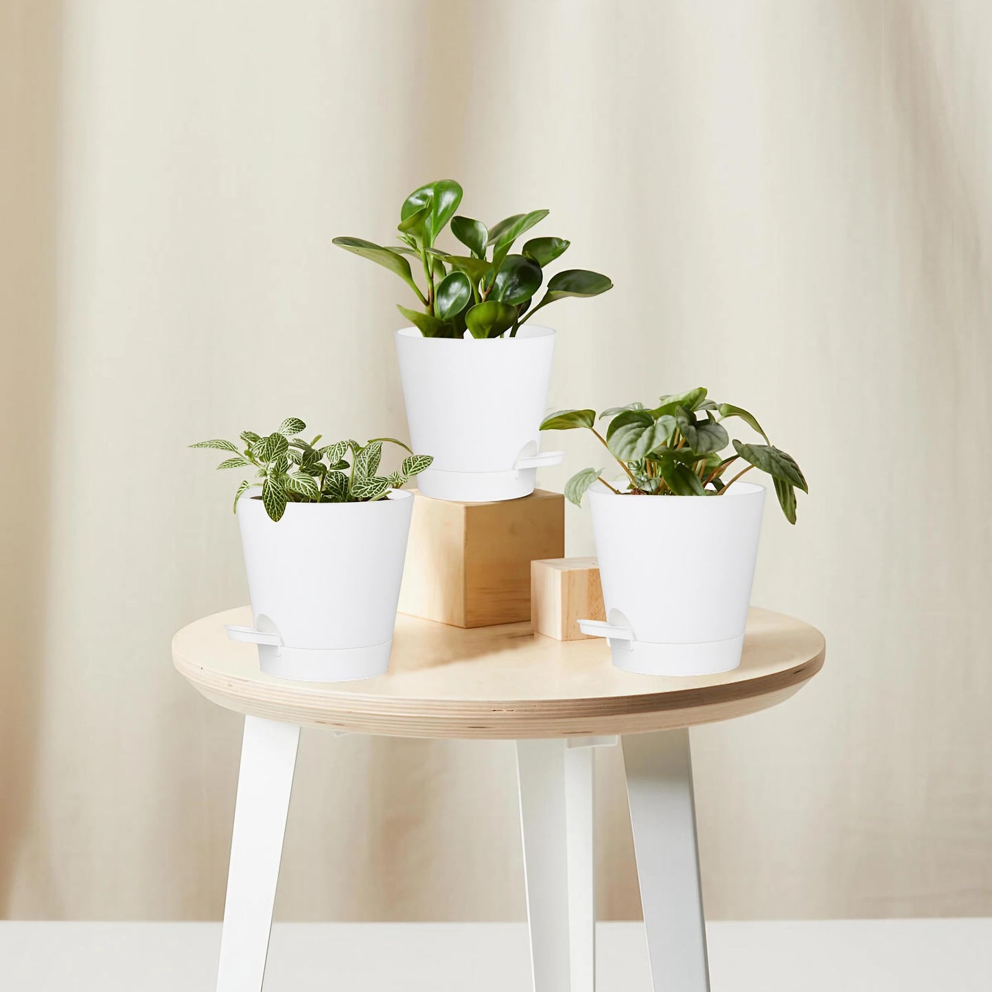 zople 5 Pack 5 inch Self-Watering Pots, African Violets Planter with Drainage Holes and Reservoir, White Plastic Planter for Indoor Outdoor Plants Flowers and Houseplants White, 5 inch 5 pcs