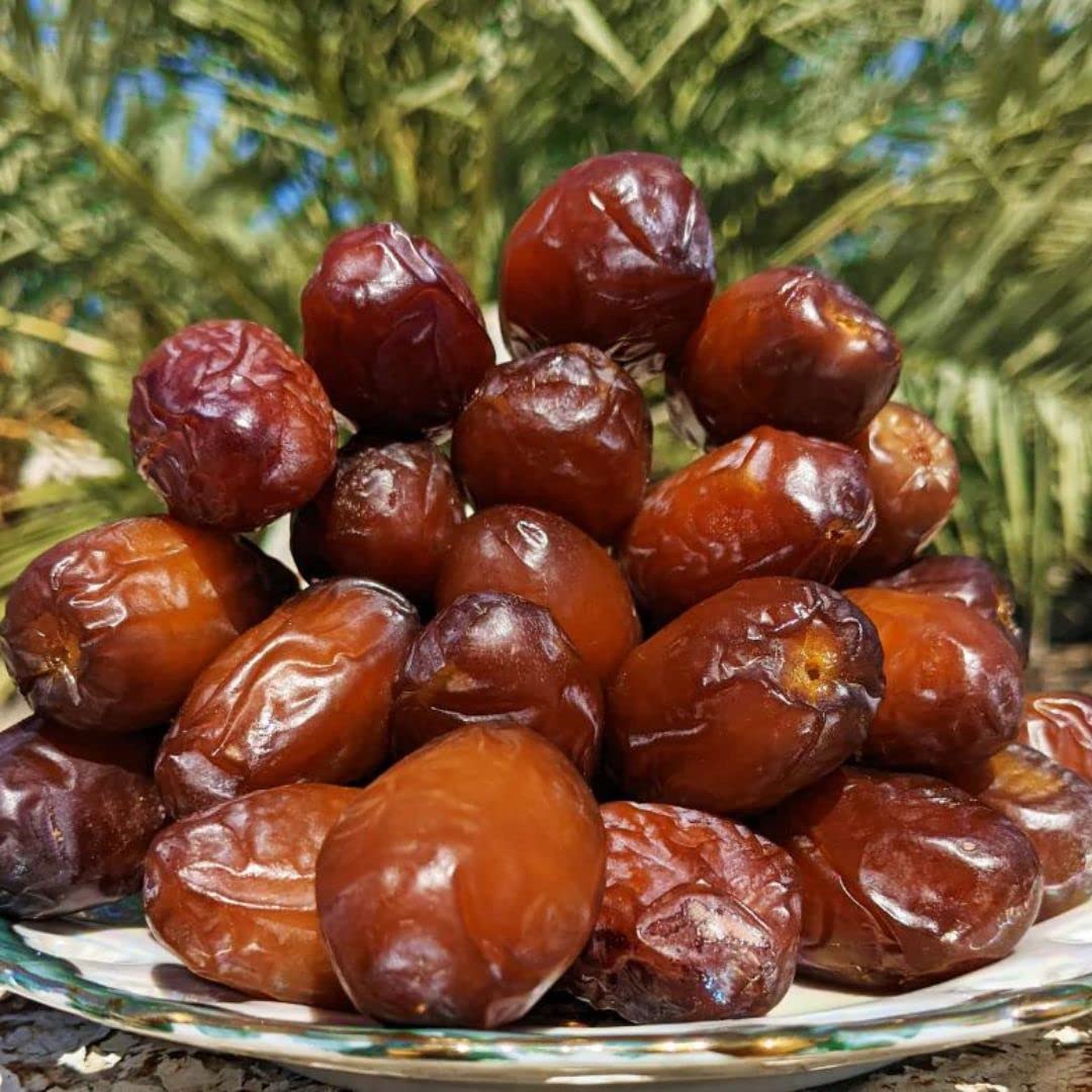 15 Medjool Date Palm Seeds, Pits, Phoenix dactylifera Large Fruit Mejhool Dates