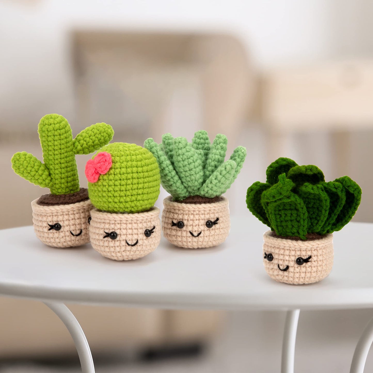 Karspor Crochet Beginner Kit, Beginner Crochet Starter Kit for Adult, Crochets Set- 6 PCS Crocheting Succulents, Step-by-Step Instructions & Video Tutorials, Learn to Knitting Kits for Adults Beginner